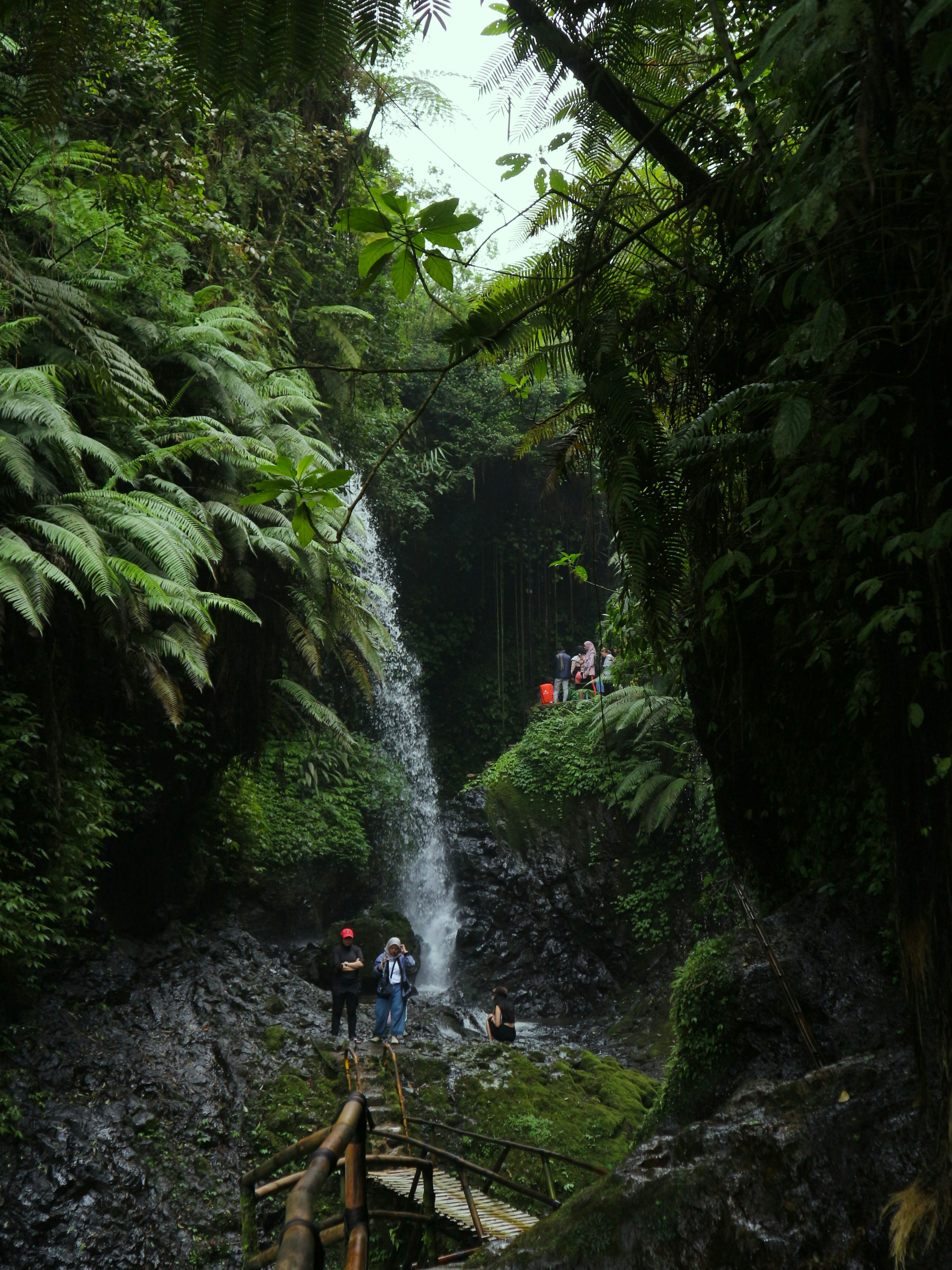 Wasserfall, der eine üppige, grüne Dschungelklippe hinunterstürzt.