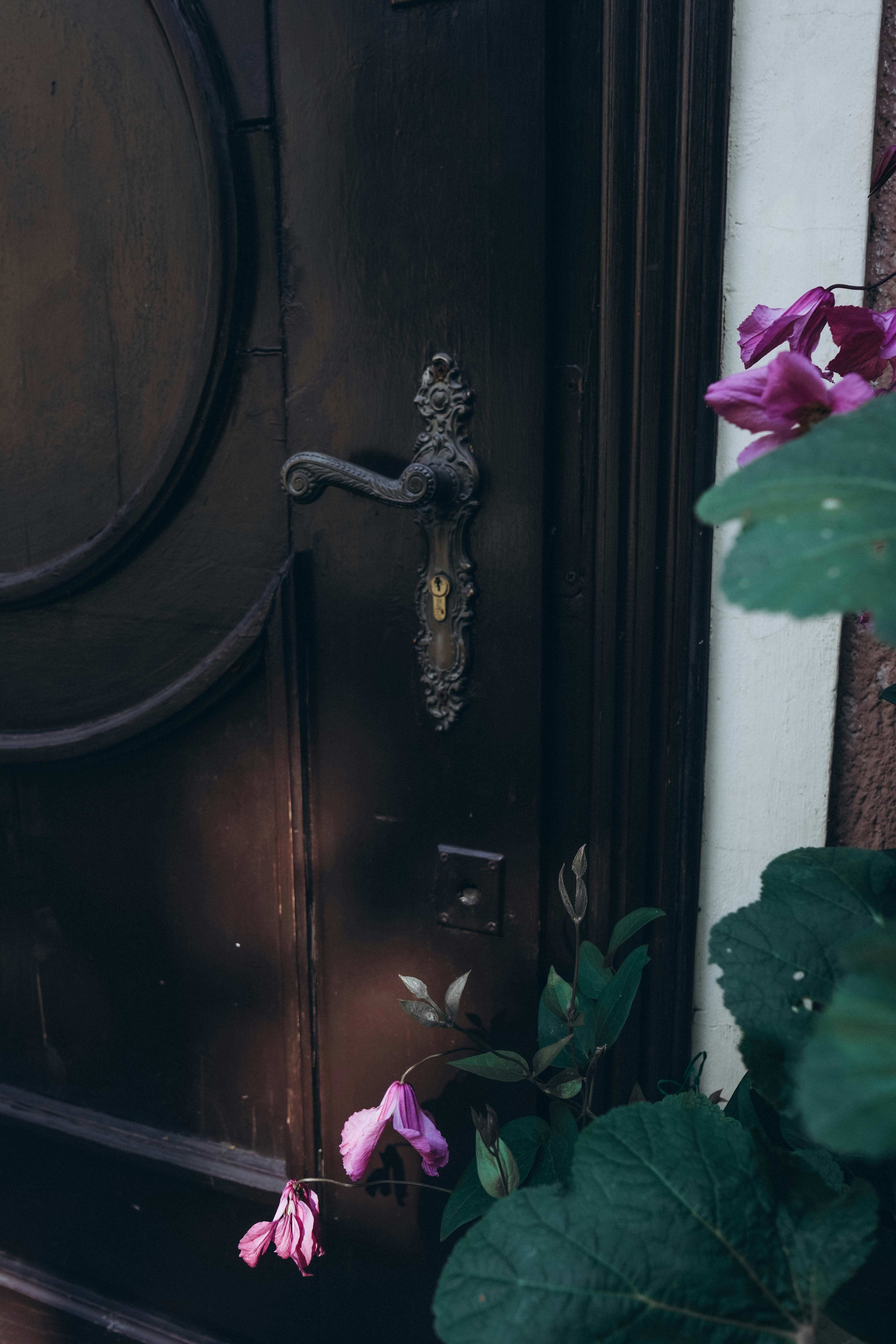 Photo by mari_drakkar