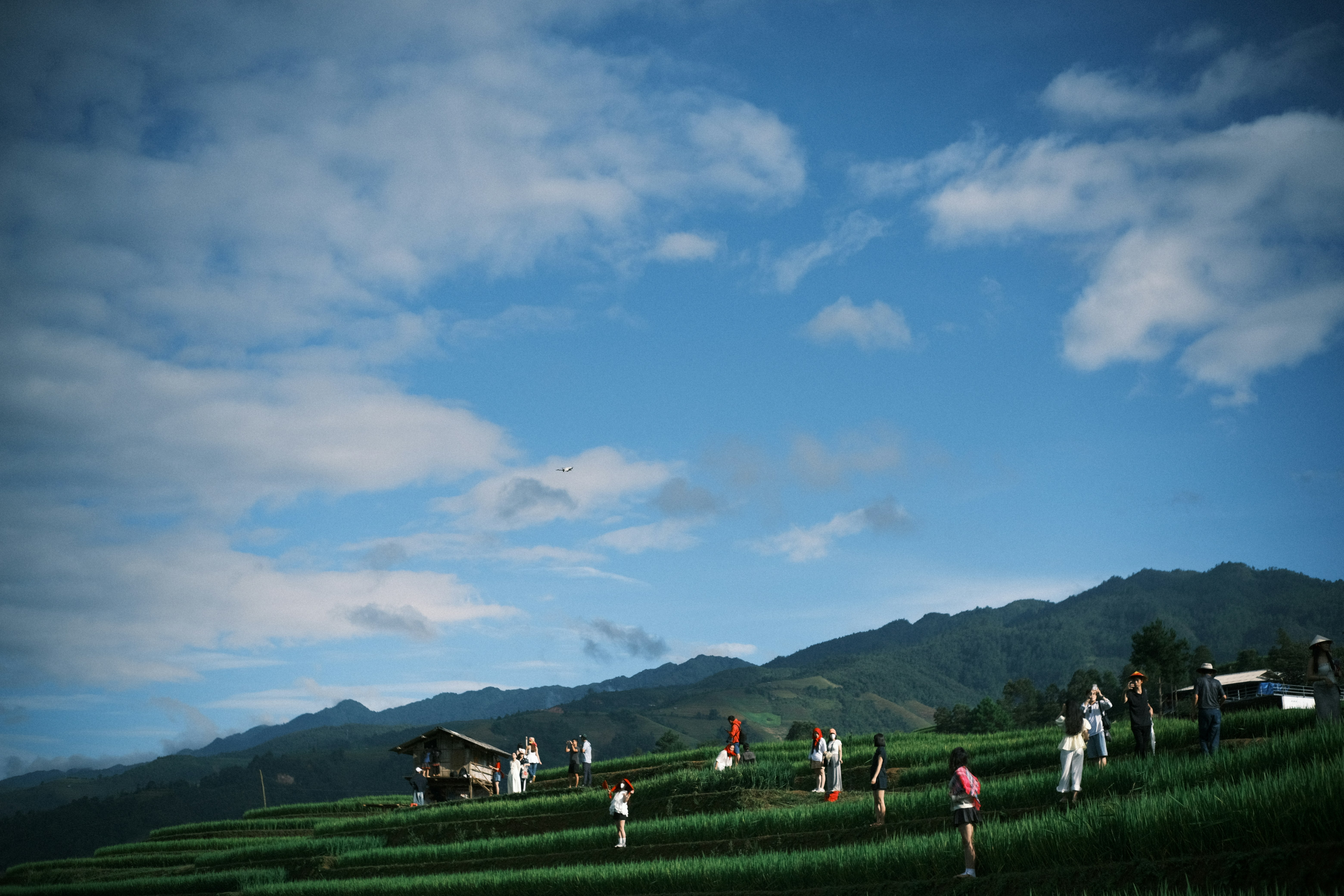 Photo by dvhoang2106