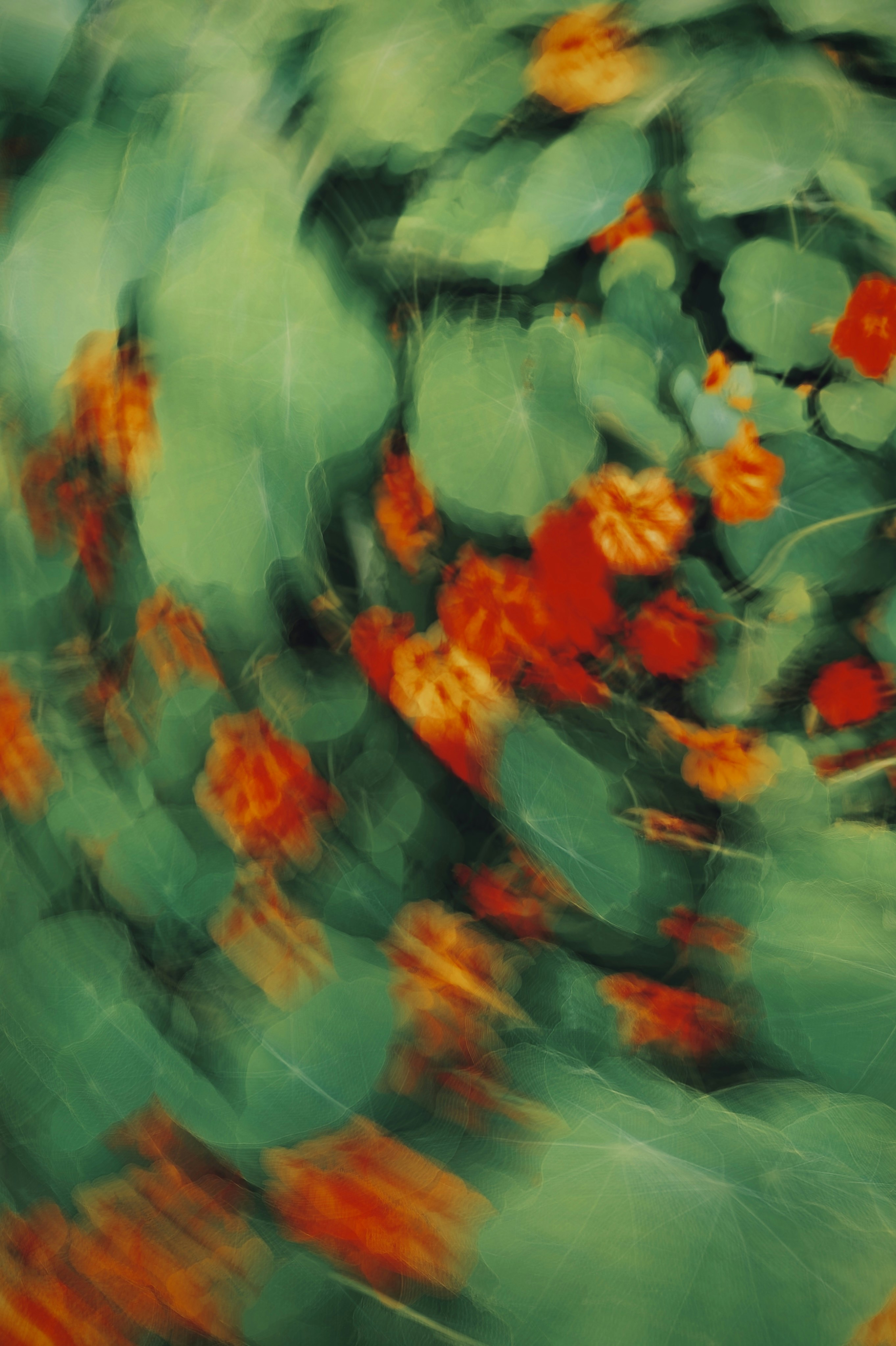 Photo by eugene_golovesov