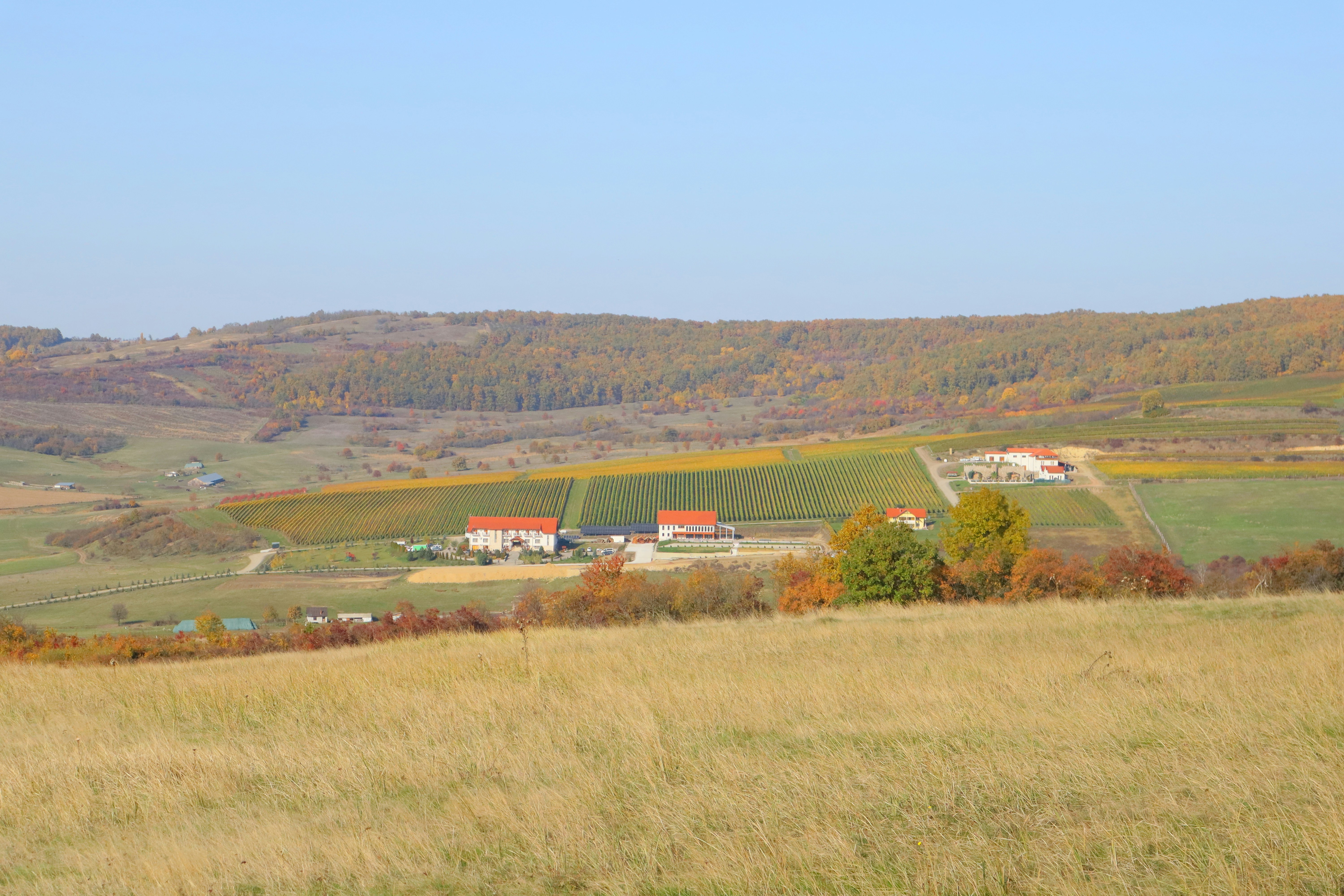 Photo by zoltanbiro1988