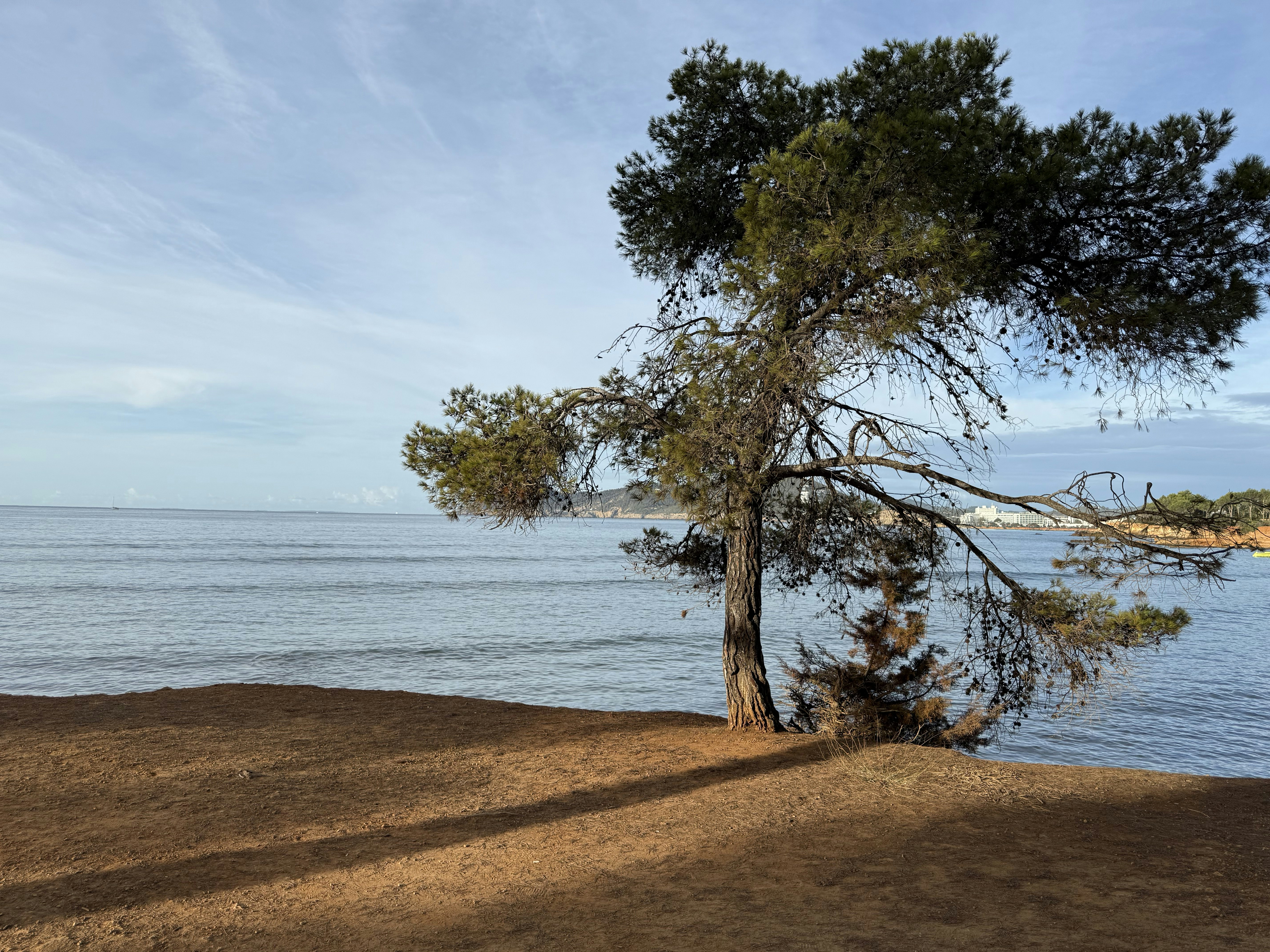 Photo by davedunners