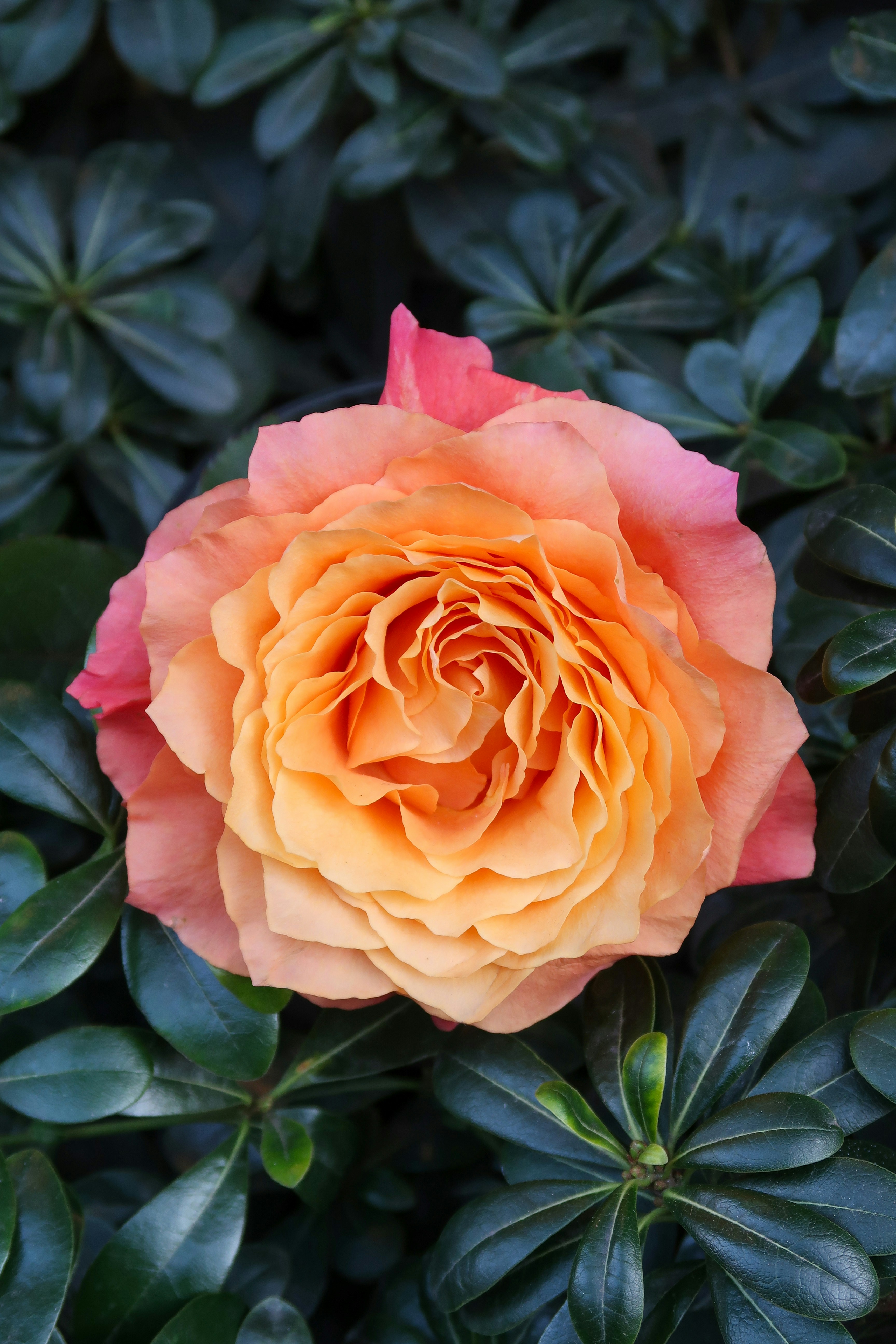 Photo by nataschaschou