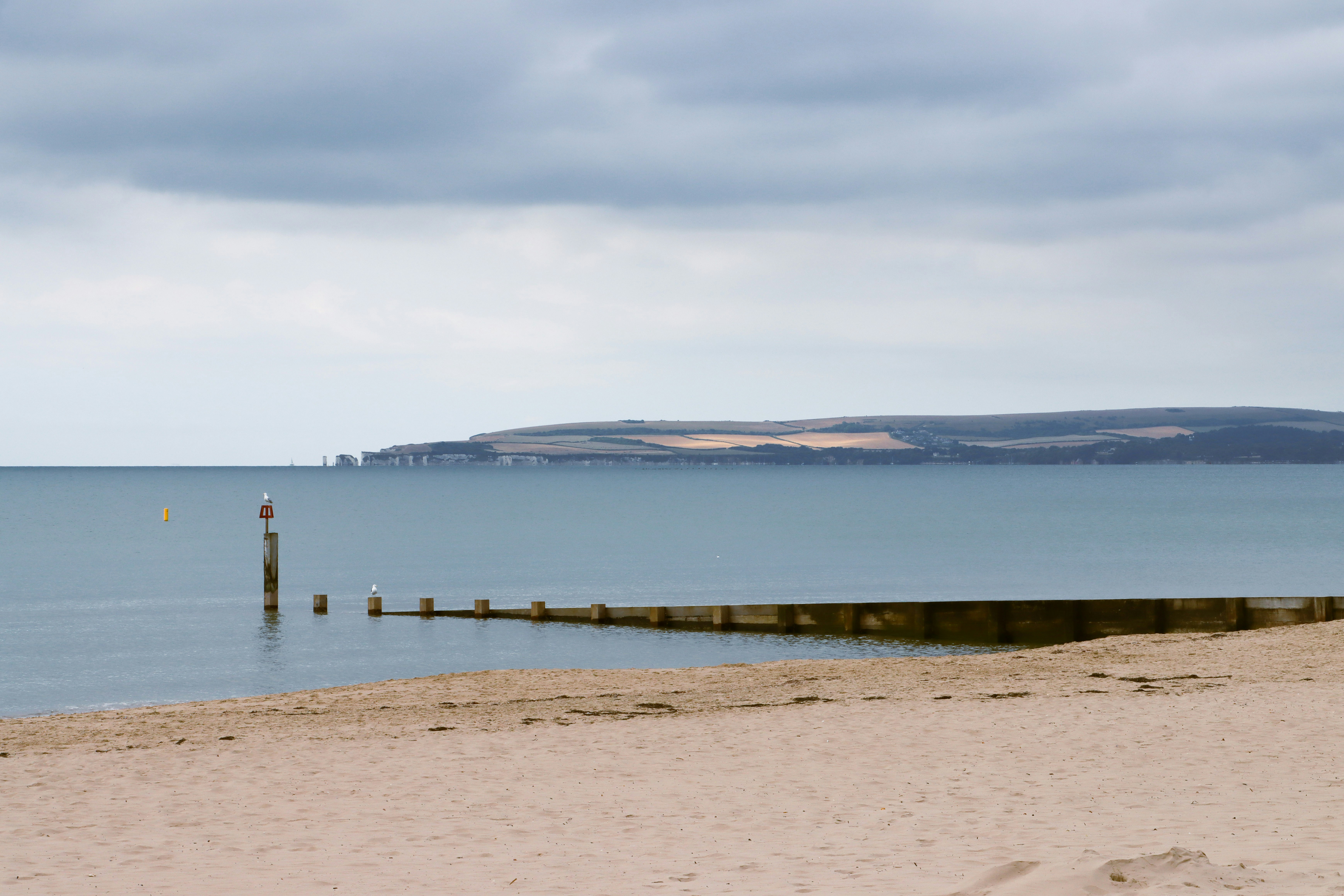 Photo by kamsinjkaneko