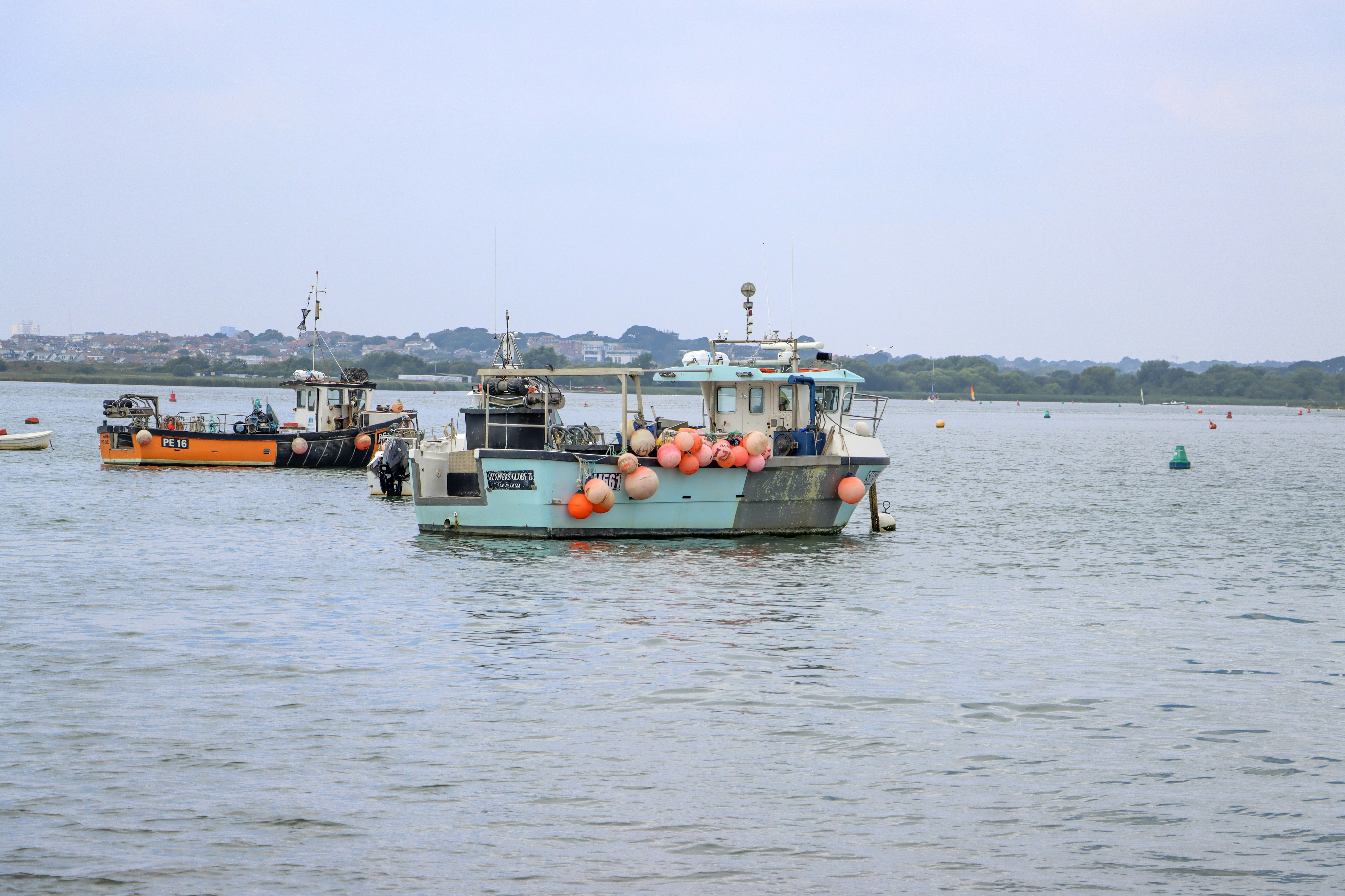 Photo by kamsinjkaneko