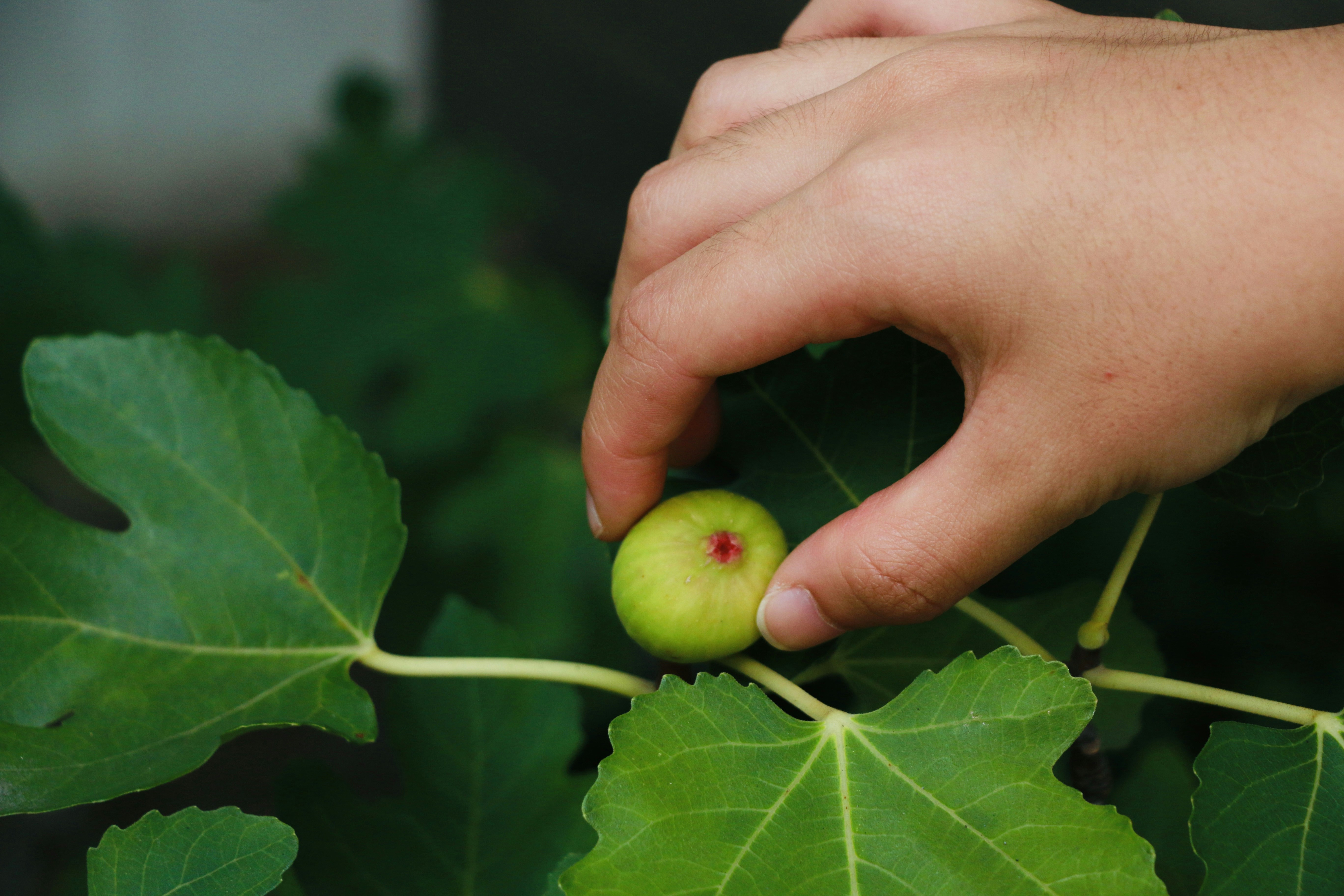 Photo by feifeiliang