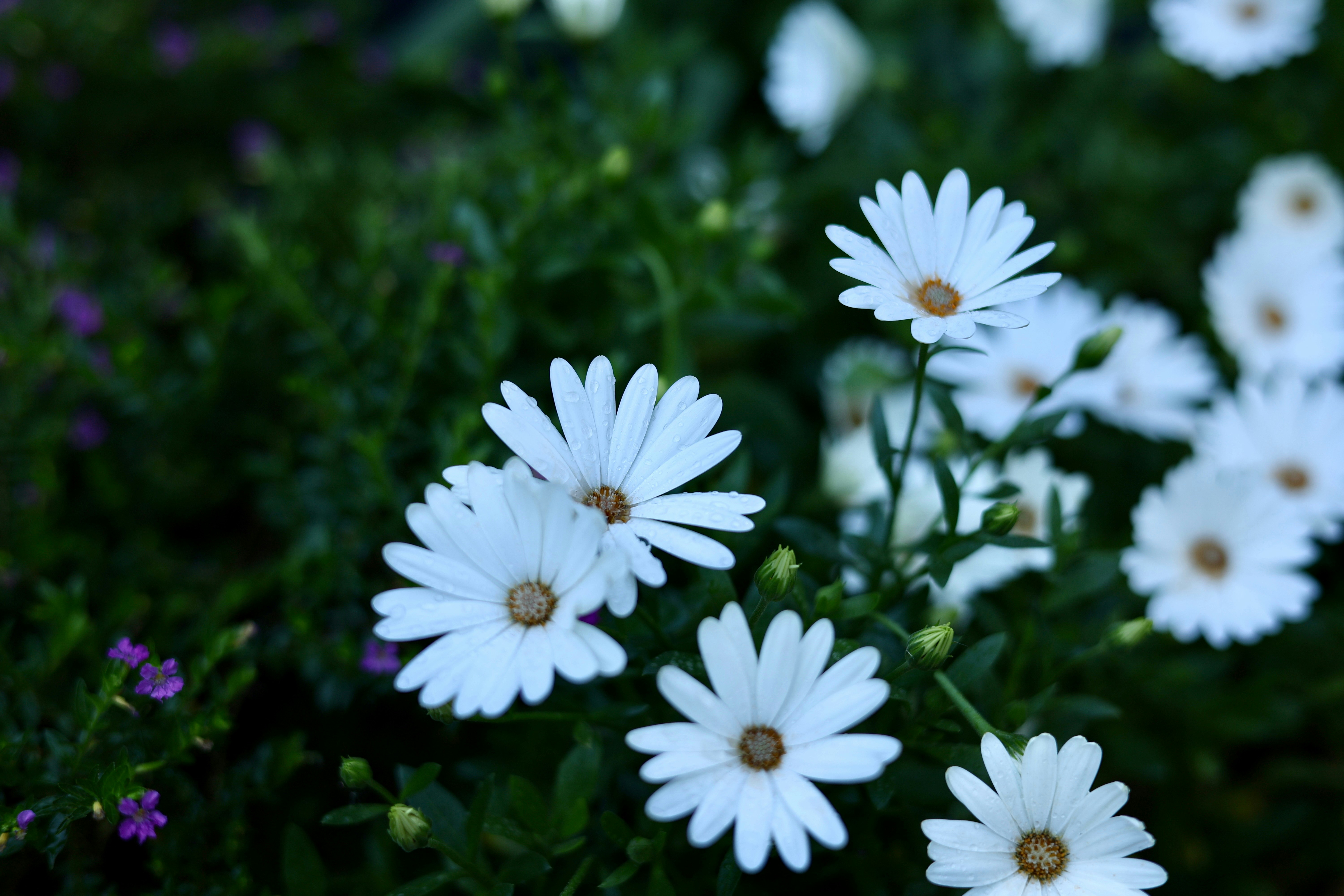 Photo by vistavisiondrones