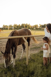 Mother and daughter observe a horse at a farm.