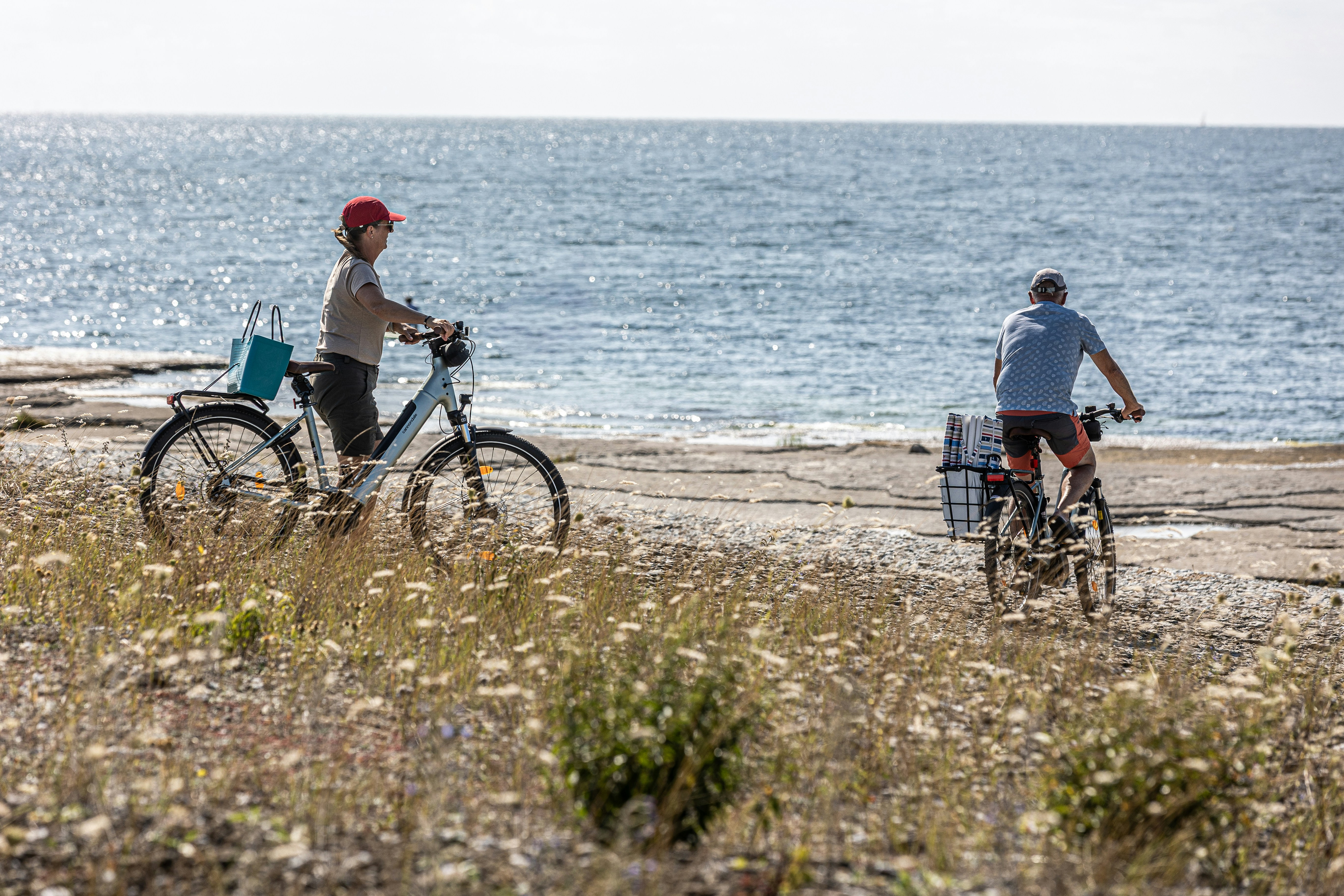 Two people cycling along the ocean shore.