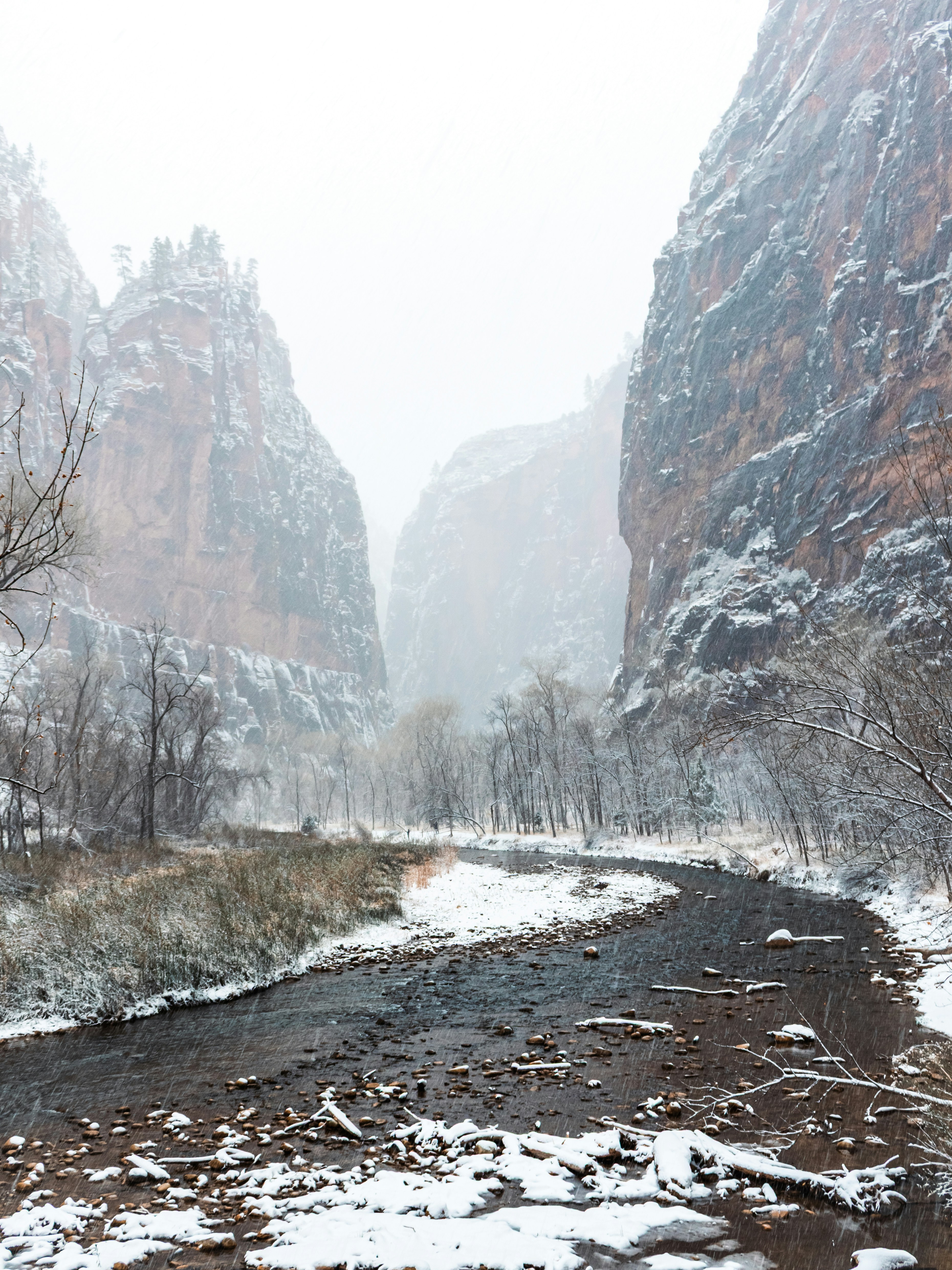 Photo by zoshuacolah