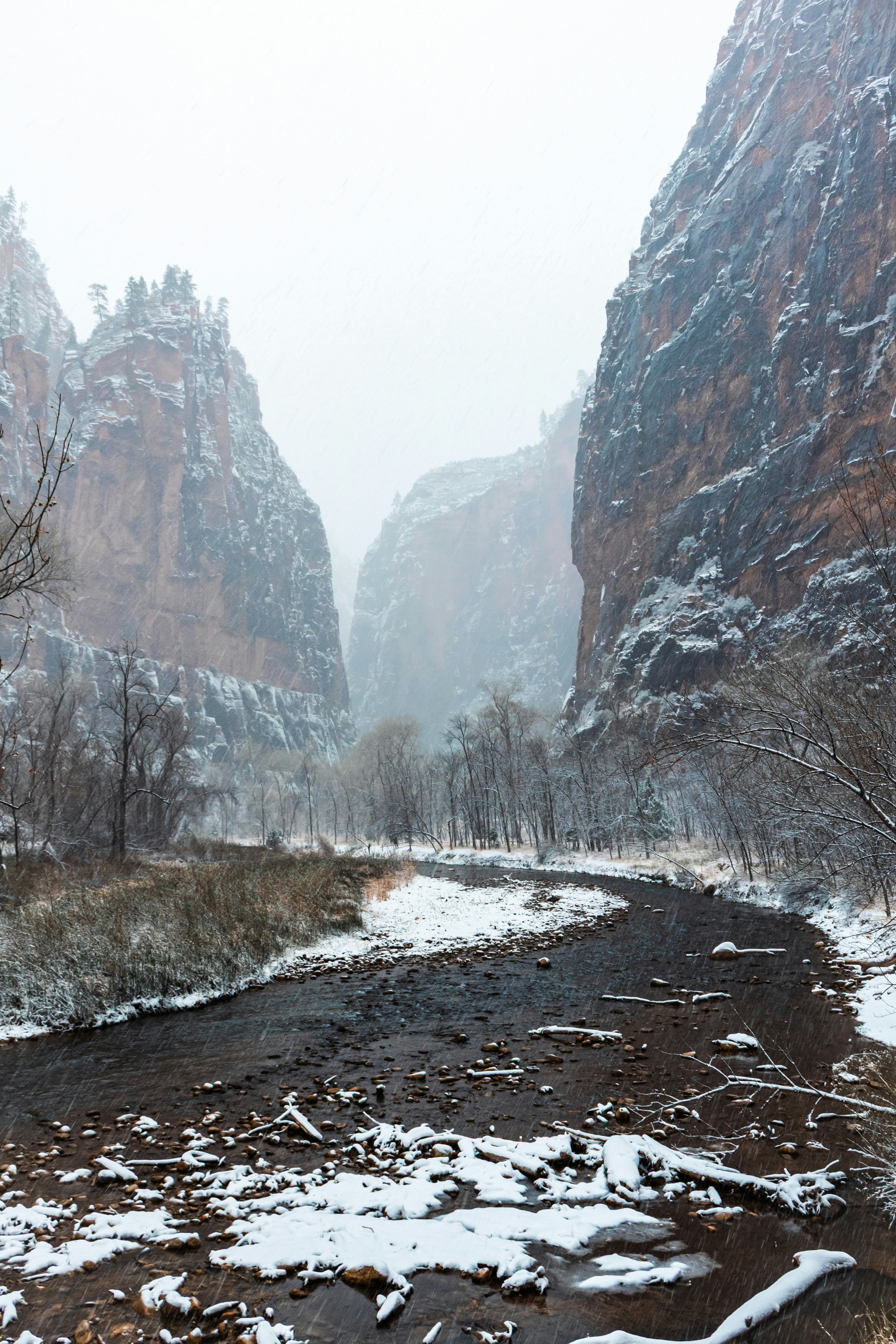 Photo by zoshuacolah