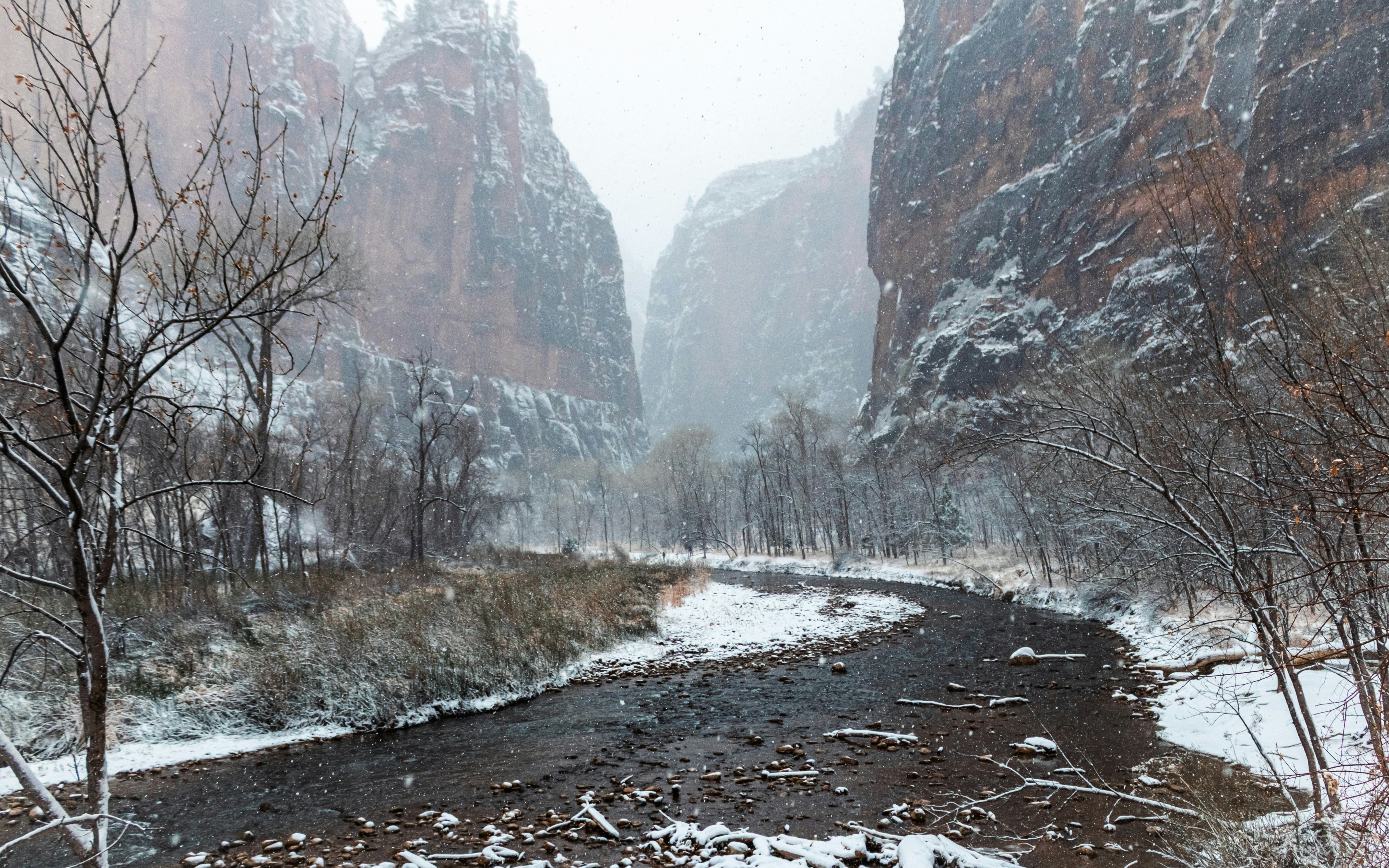 Photo by zoshuacolah