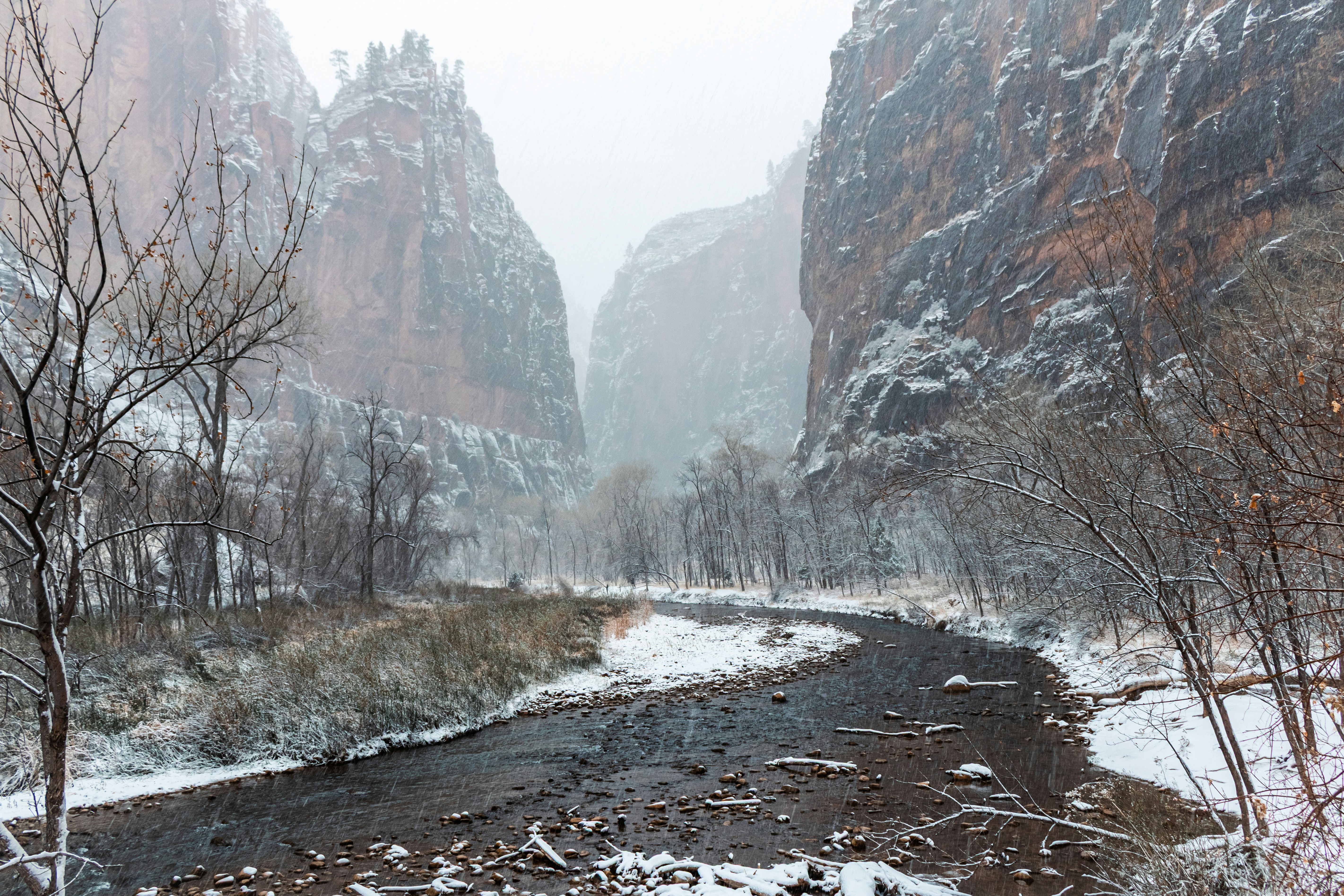 Photo by zoshuacolah