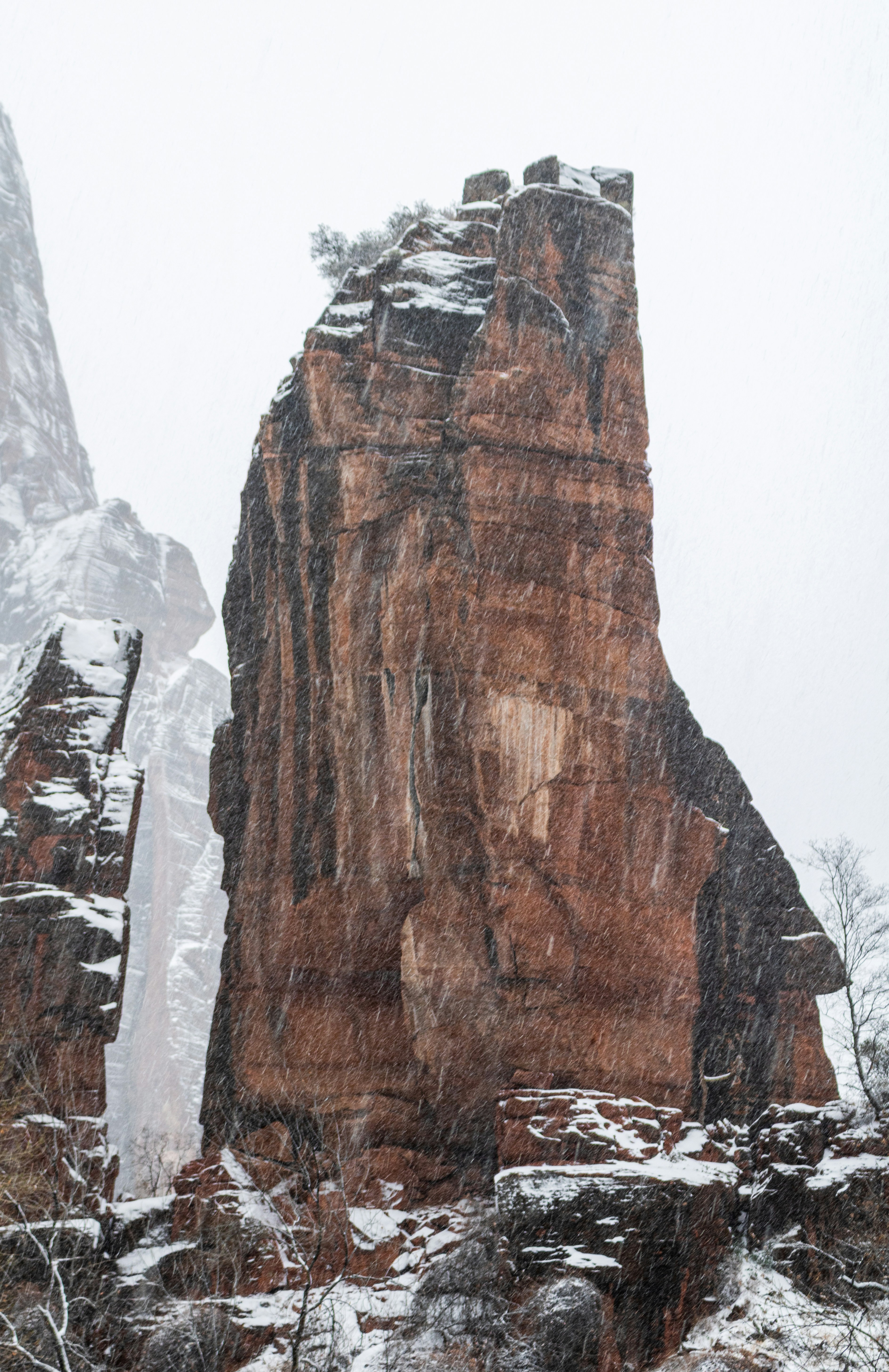 Photo by zoshuacolah