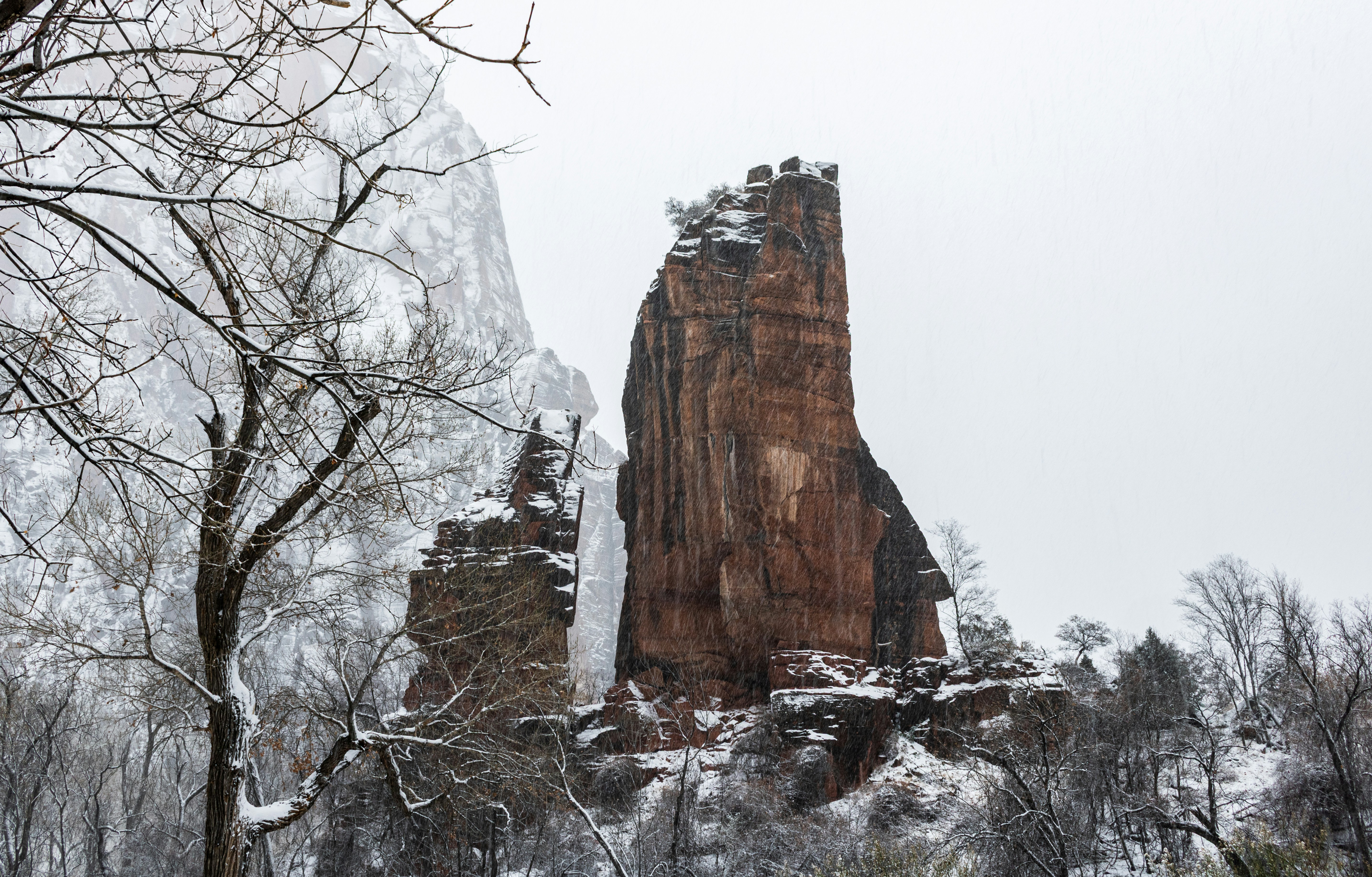 Photo by zoshuacolah