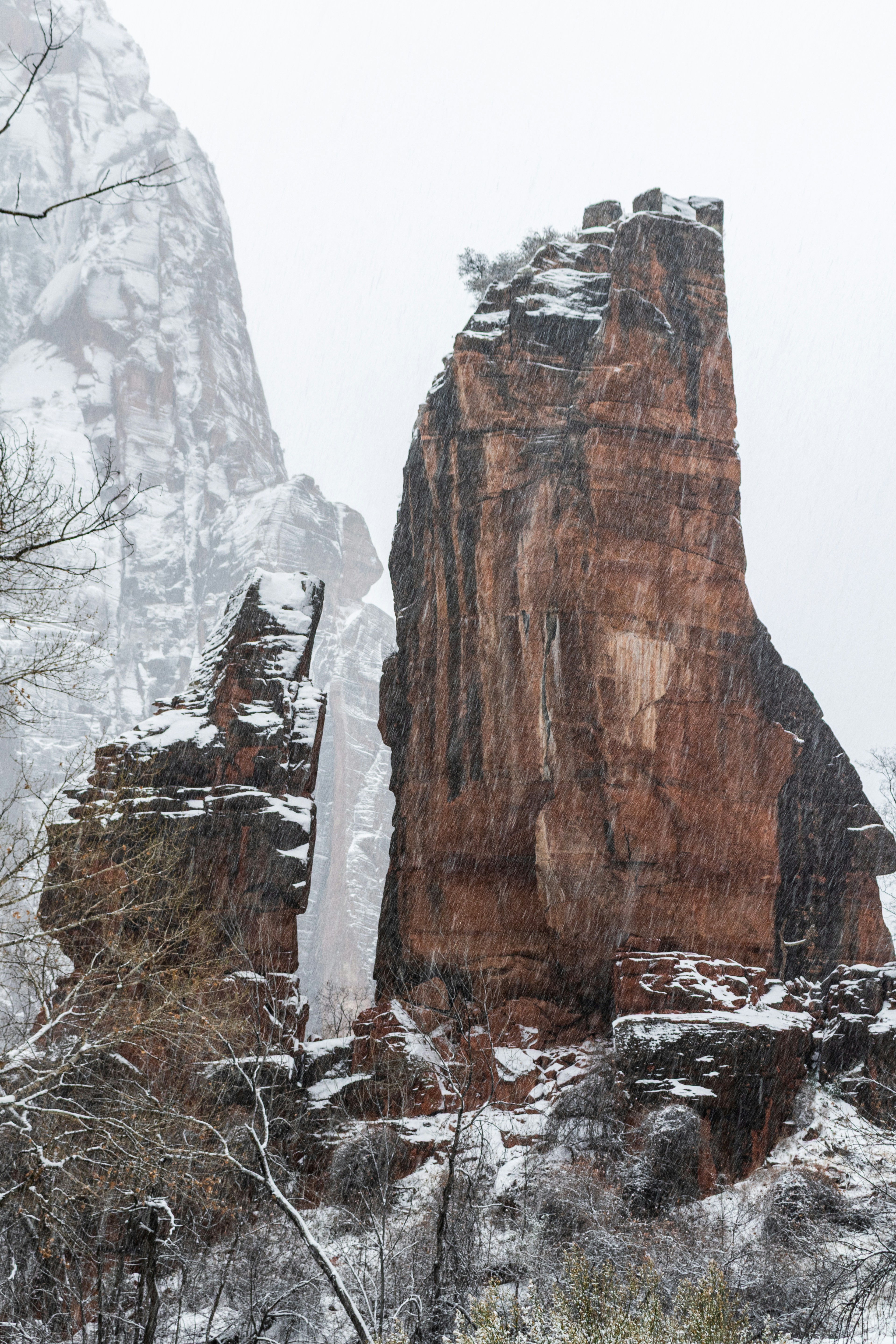 Photo by zoshuacolah