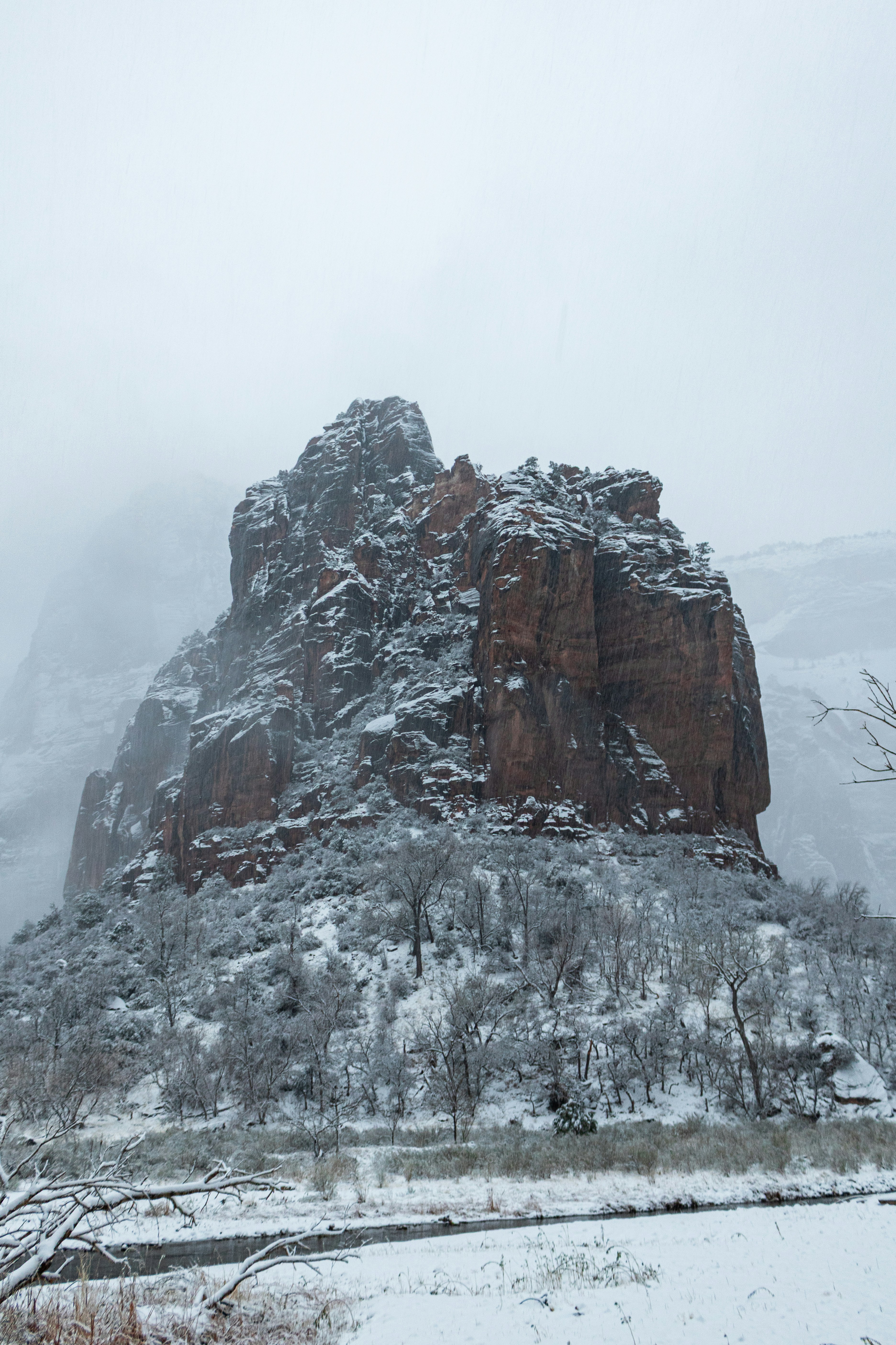 Photo by zoshuacolah