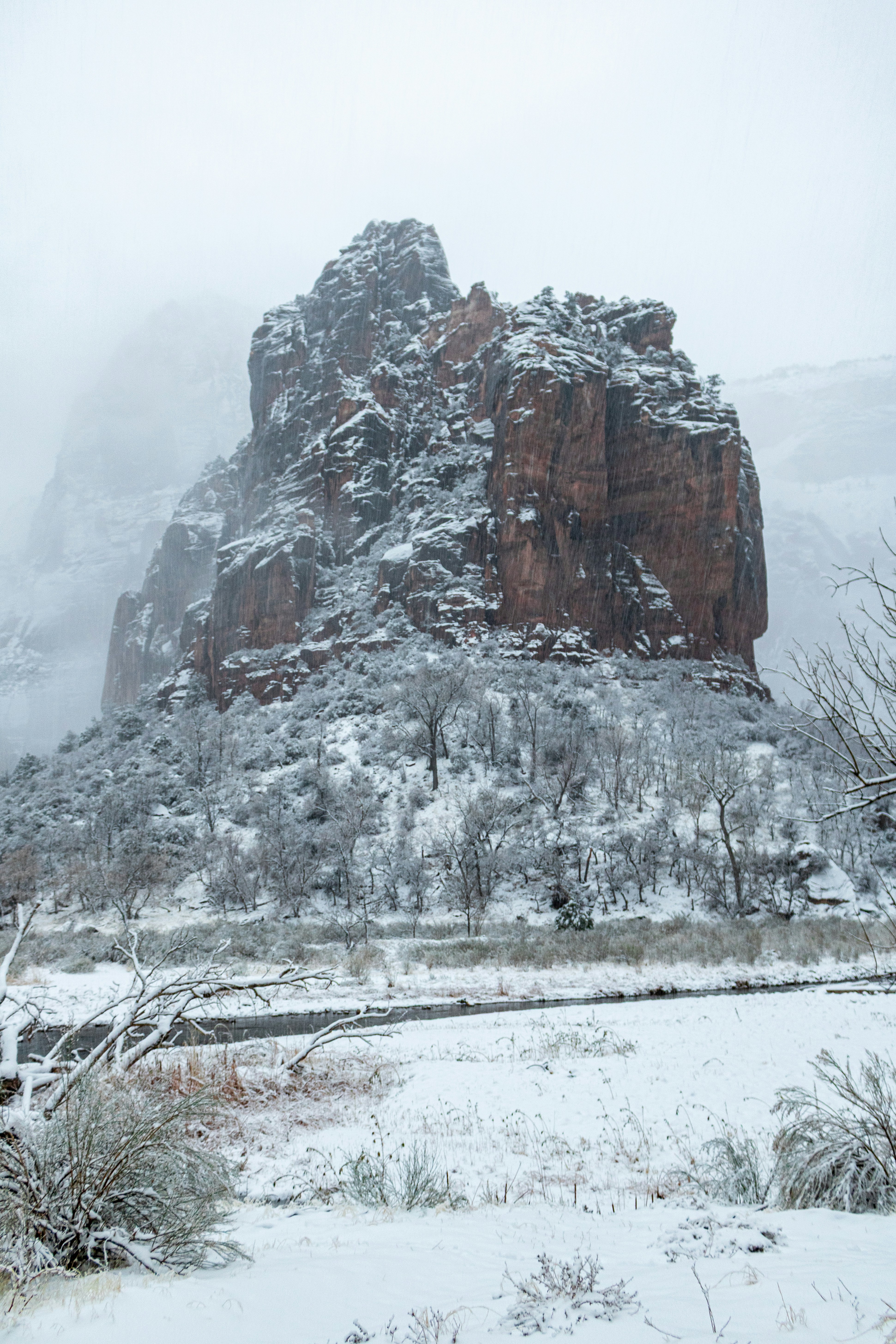 Photo by zoshuacolah