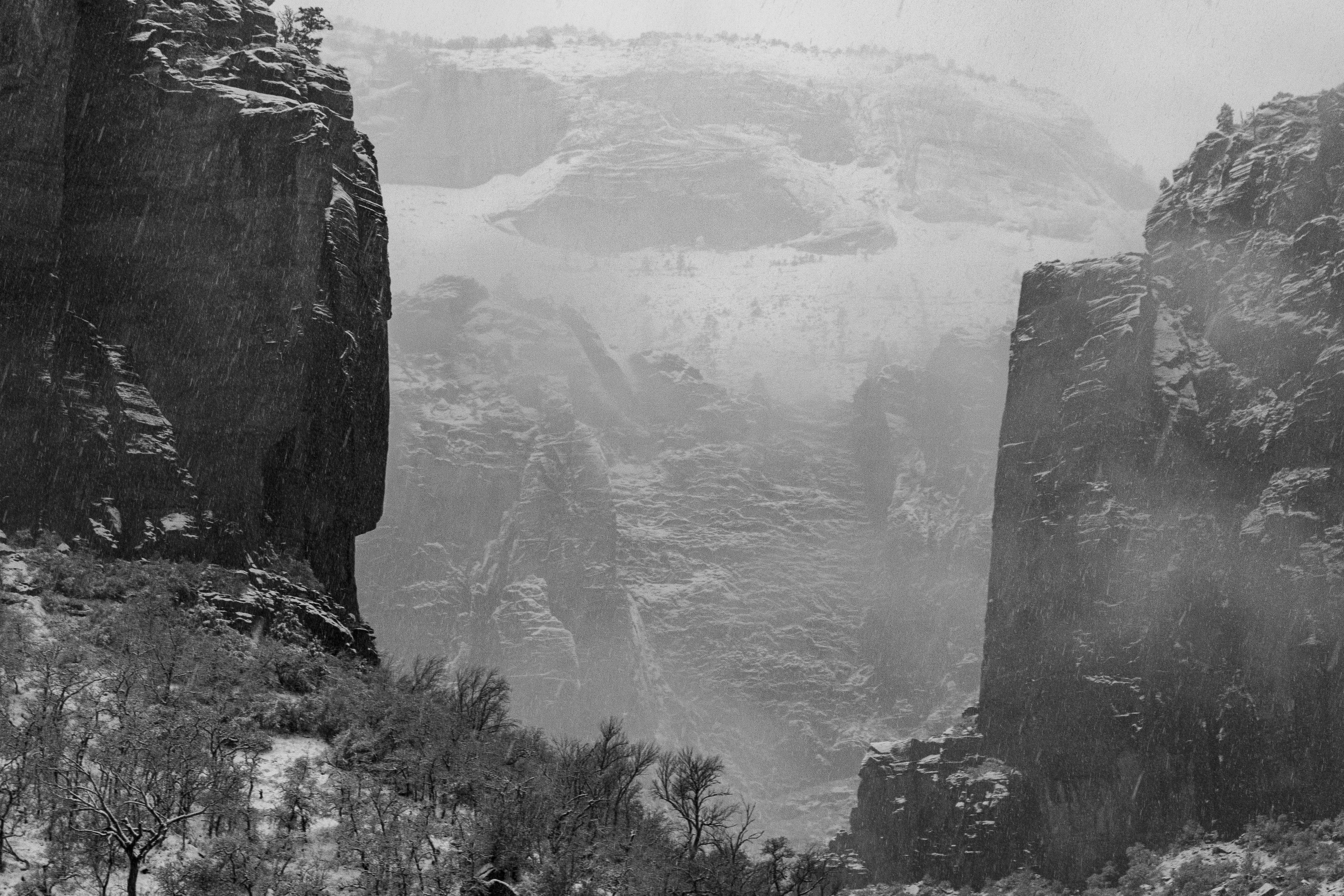 Photo by zoshuacolah