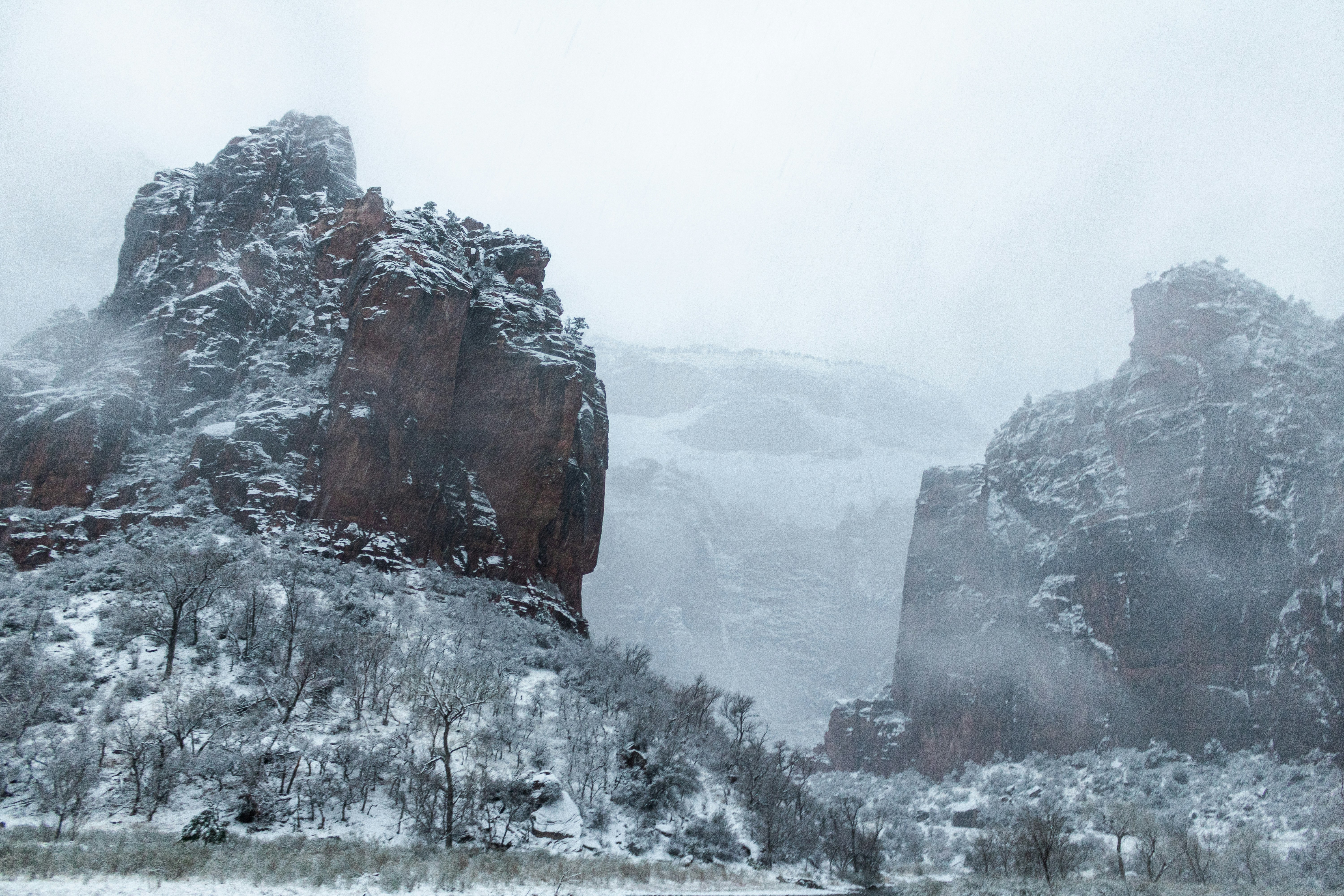 Photo by zoshuacolah