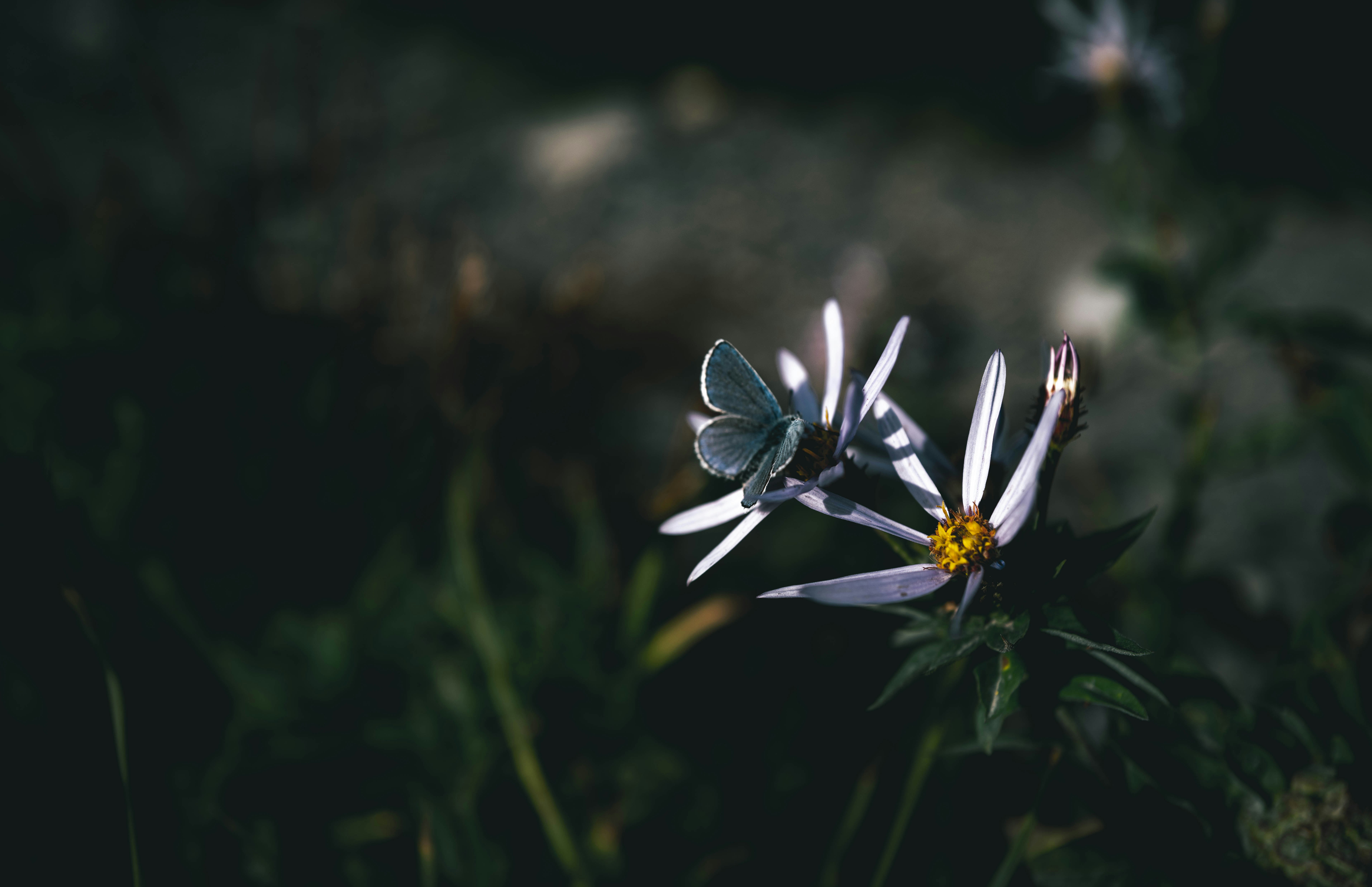 Photo by korner_kosmos