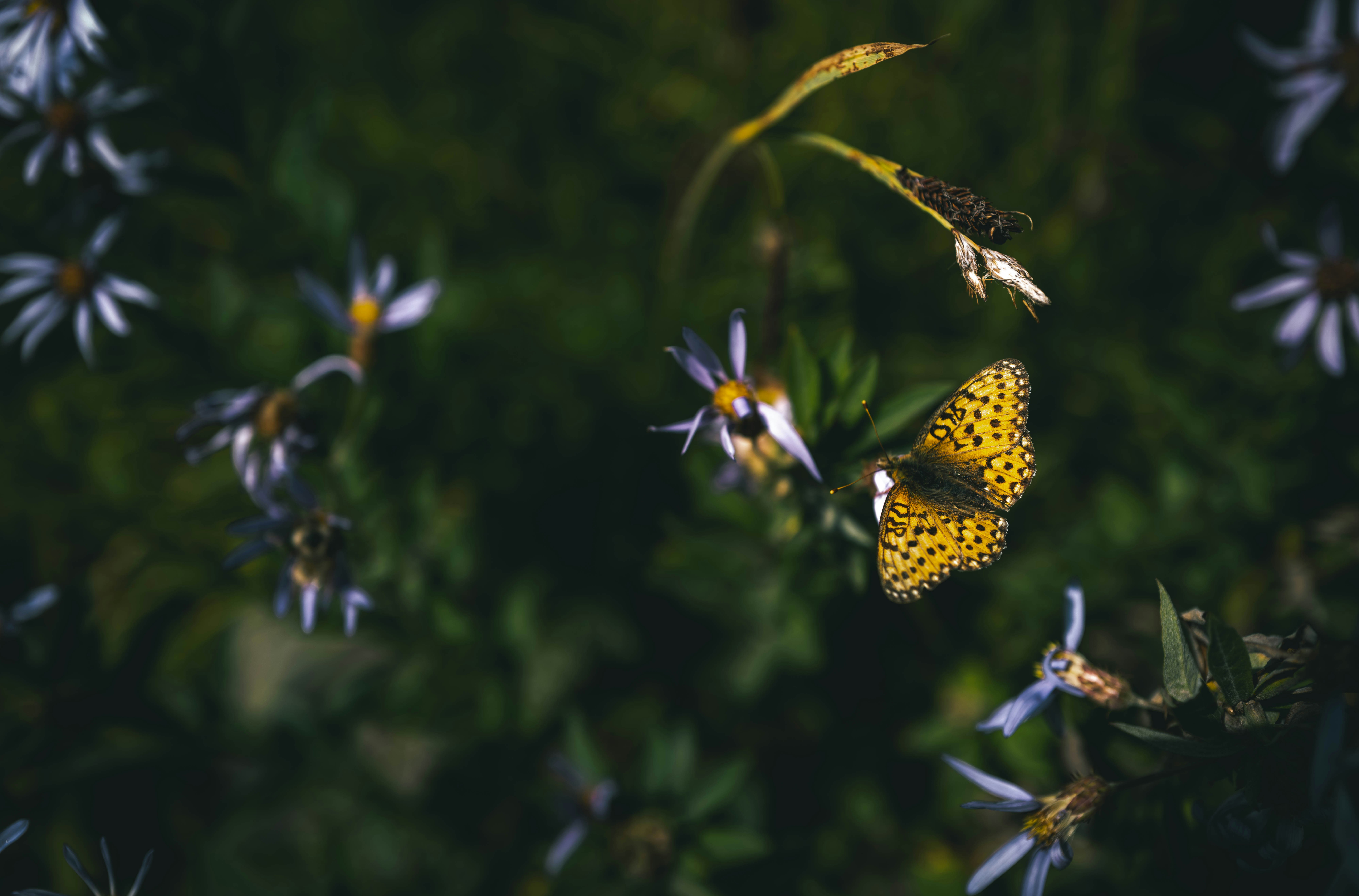 Photo by korner_kosmos