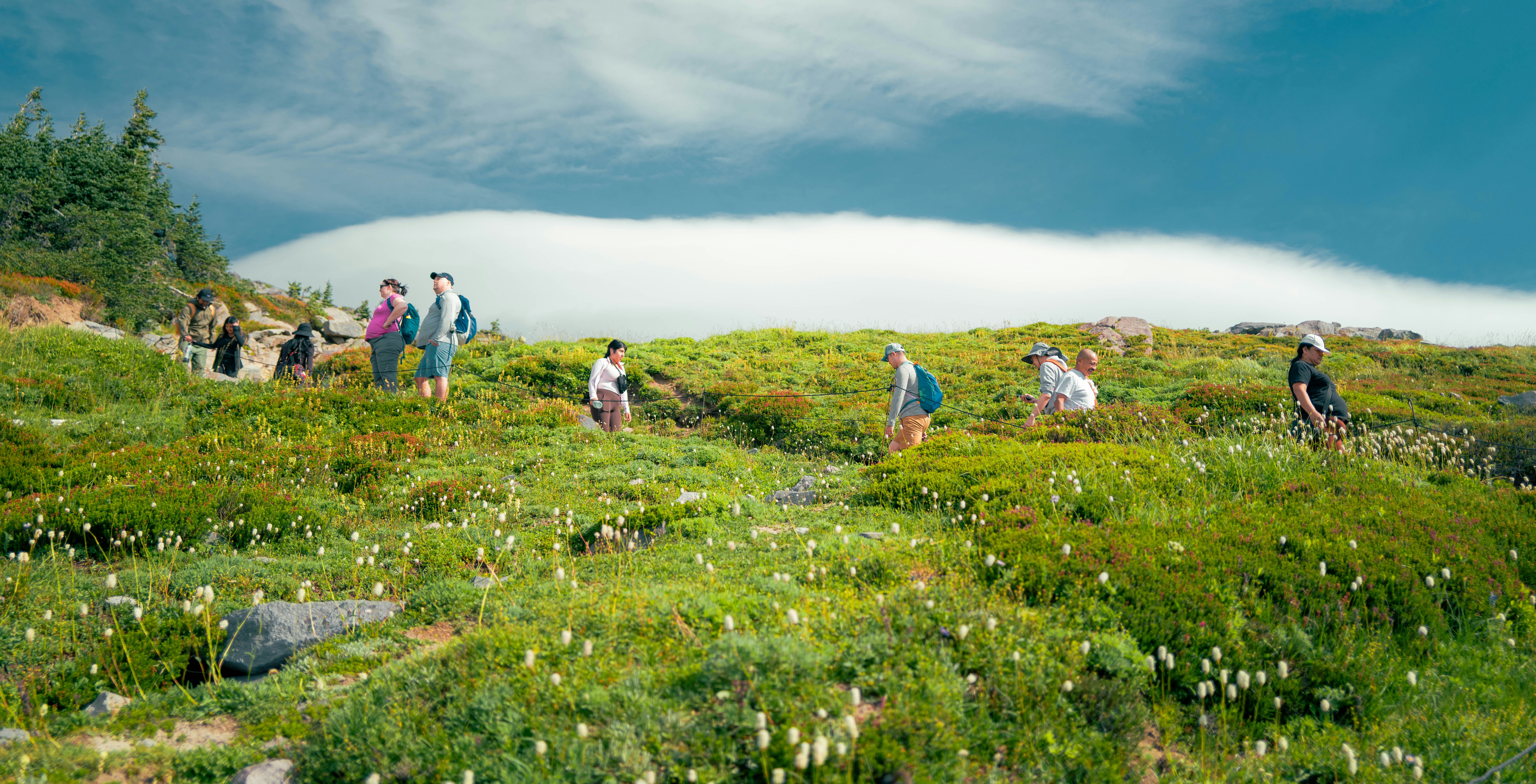 People and goats walk on a grassy hill. 풍경 사진