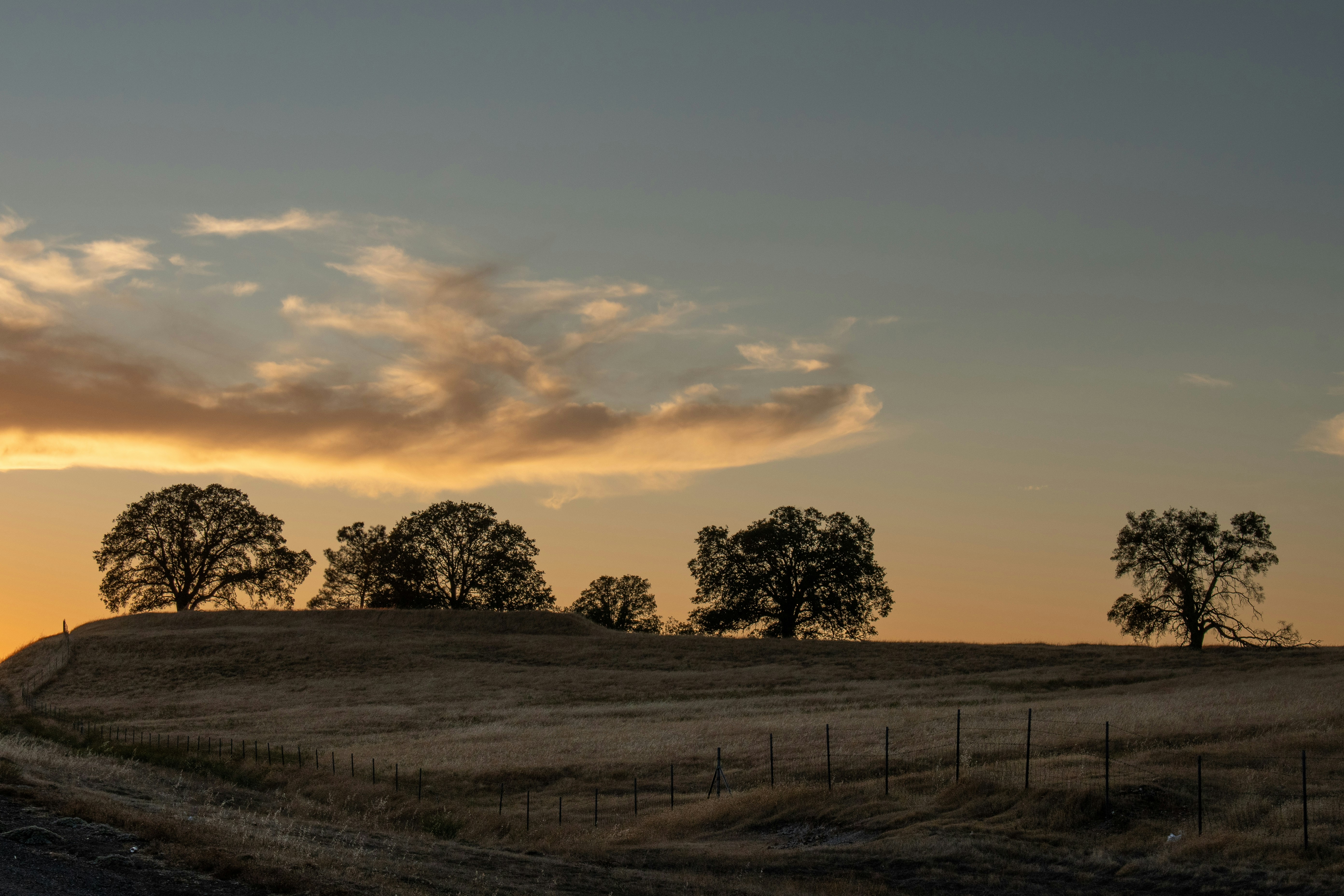 Photo by elisastonephotography