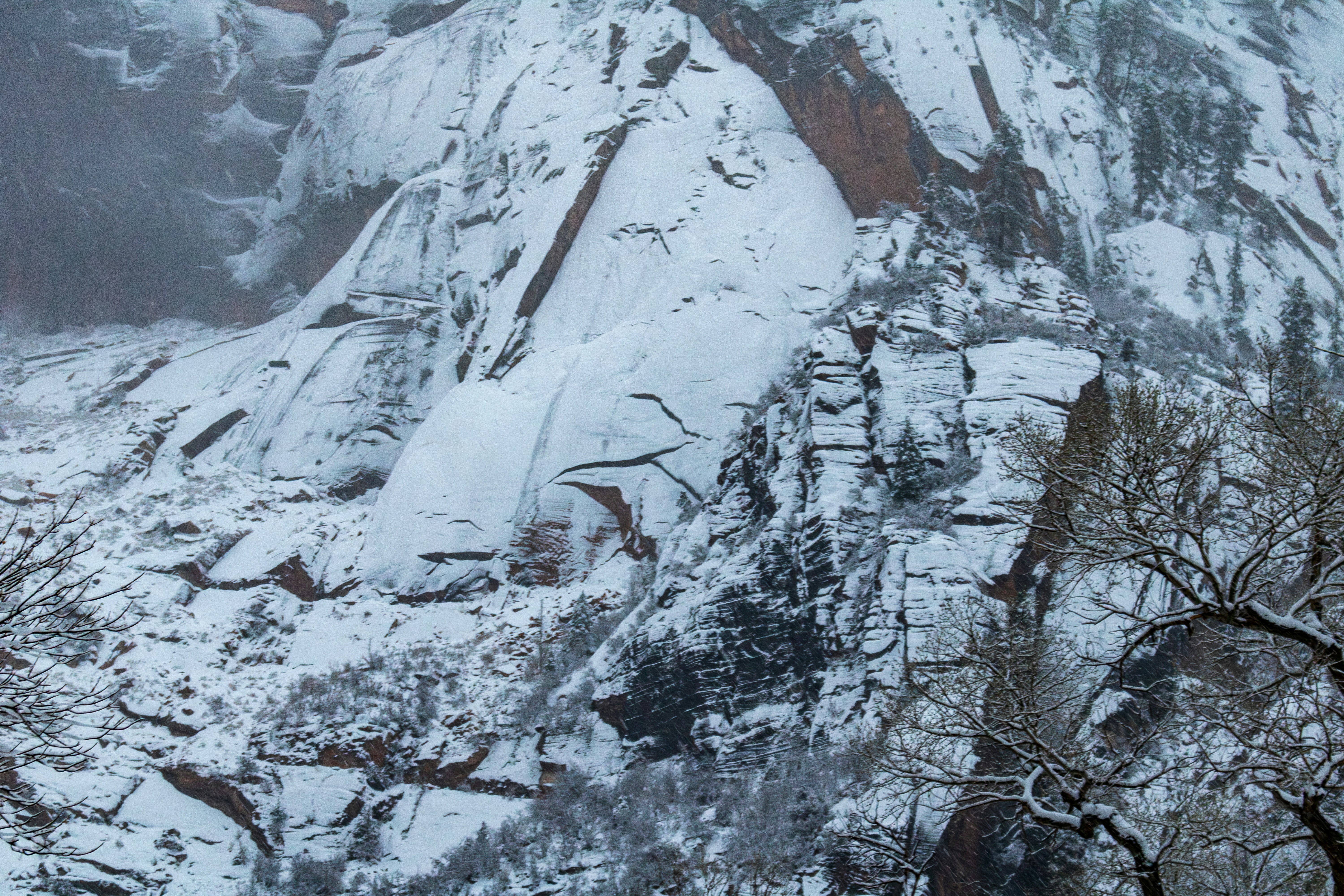 Photo by zoshuacolah