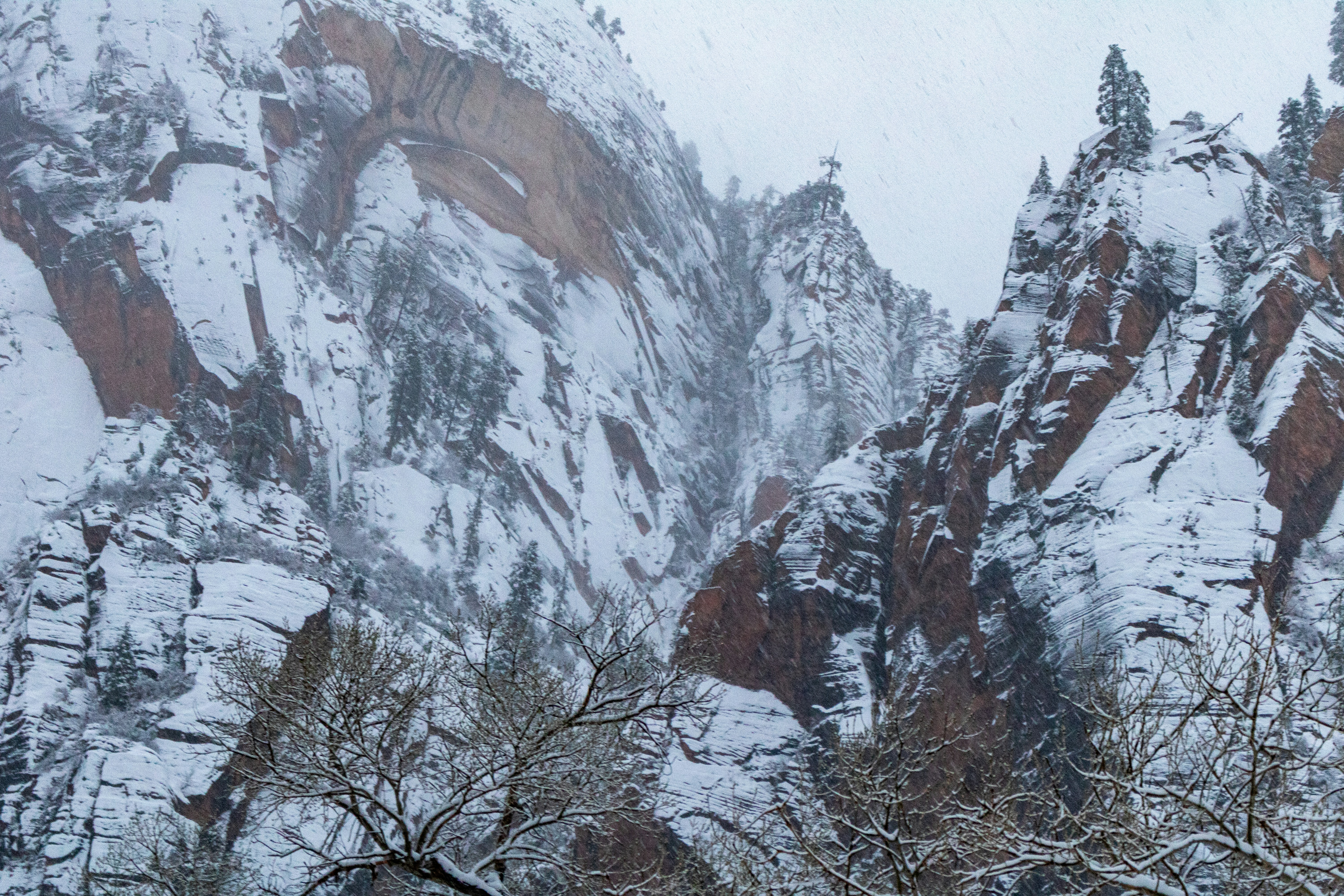 Photo by zoshuacolah