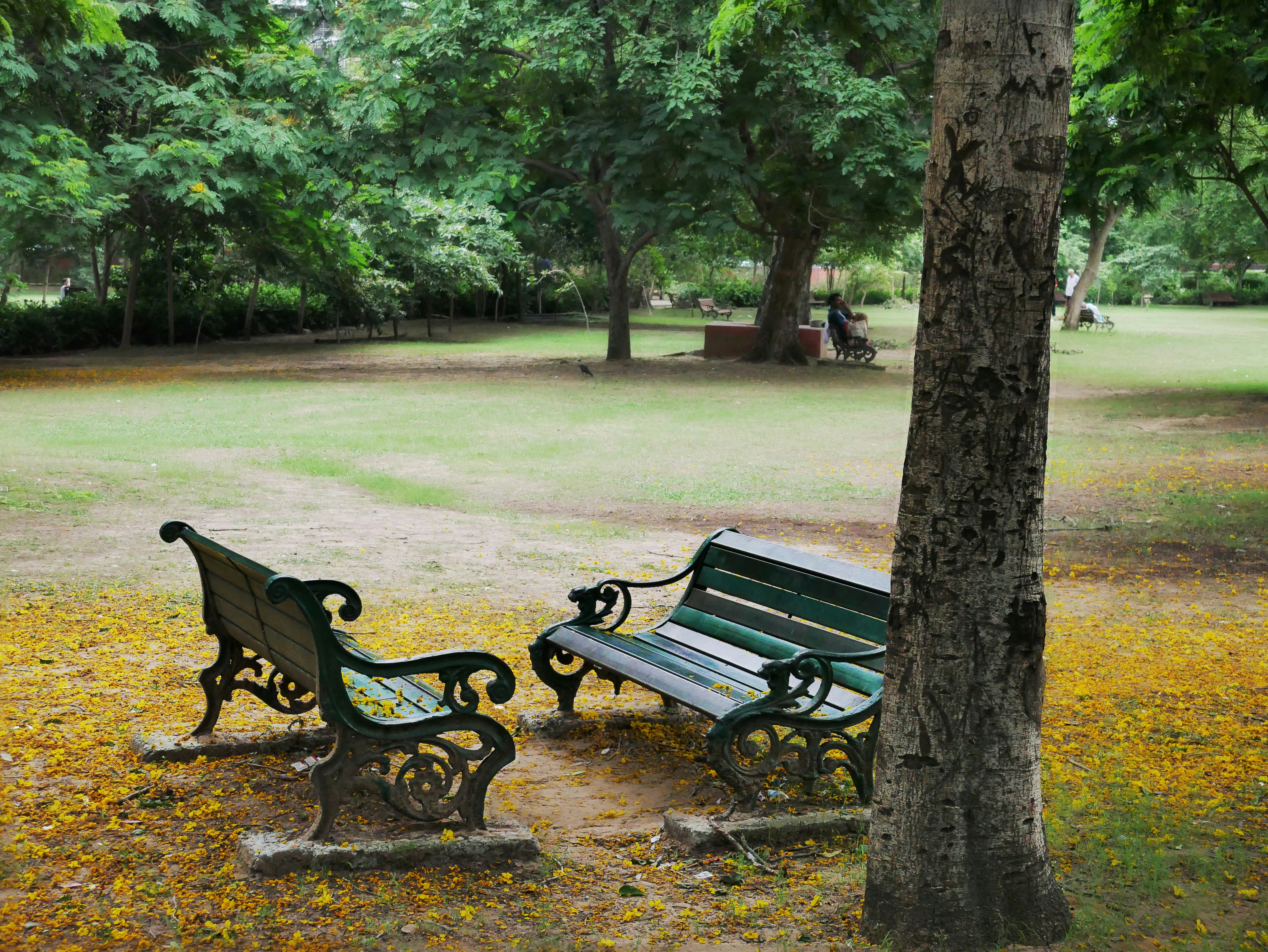 Photo by archaeo_images