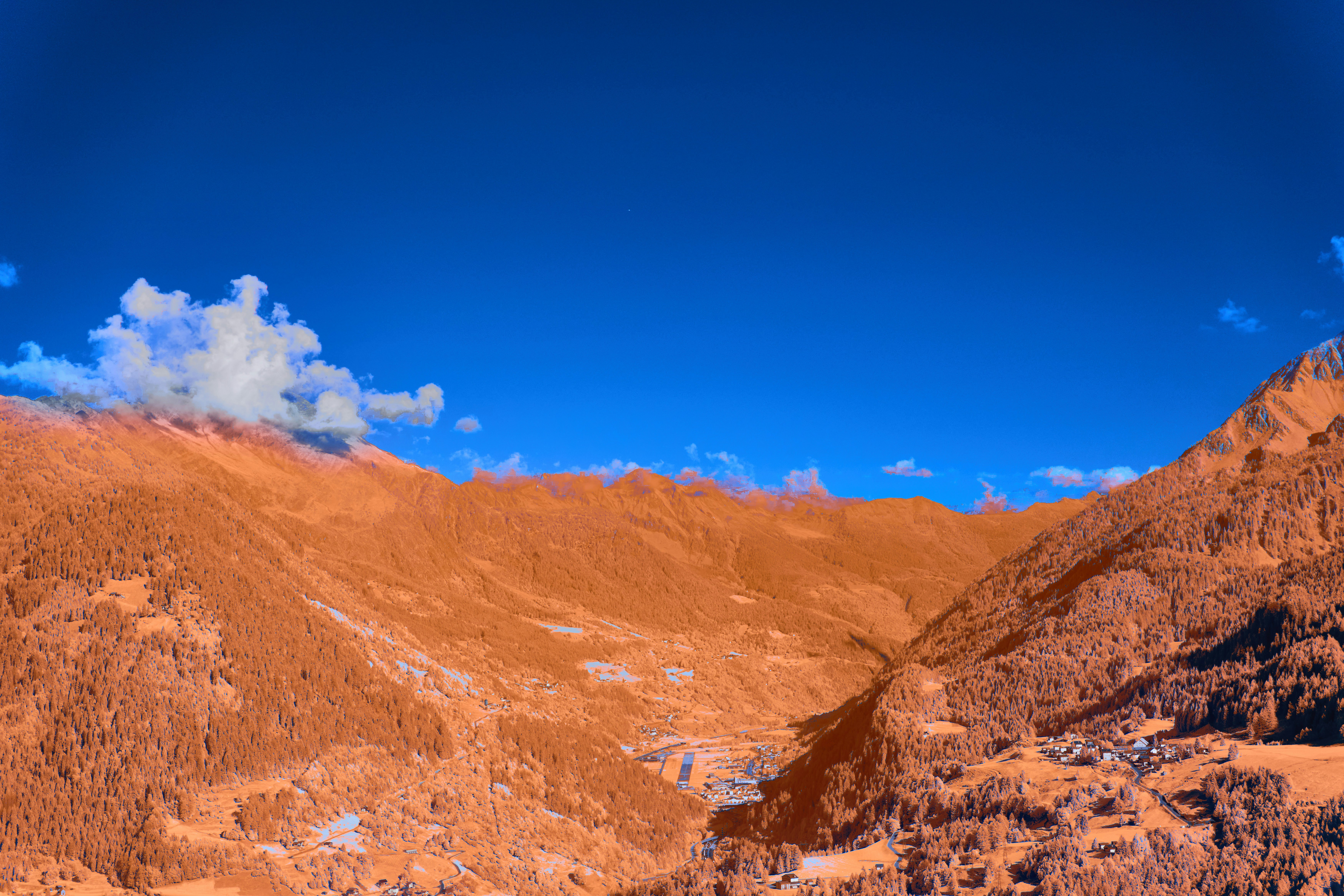 Photo by wolfgang_hasselmann