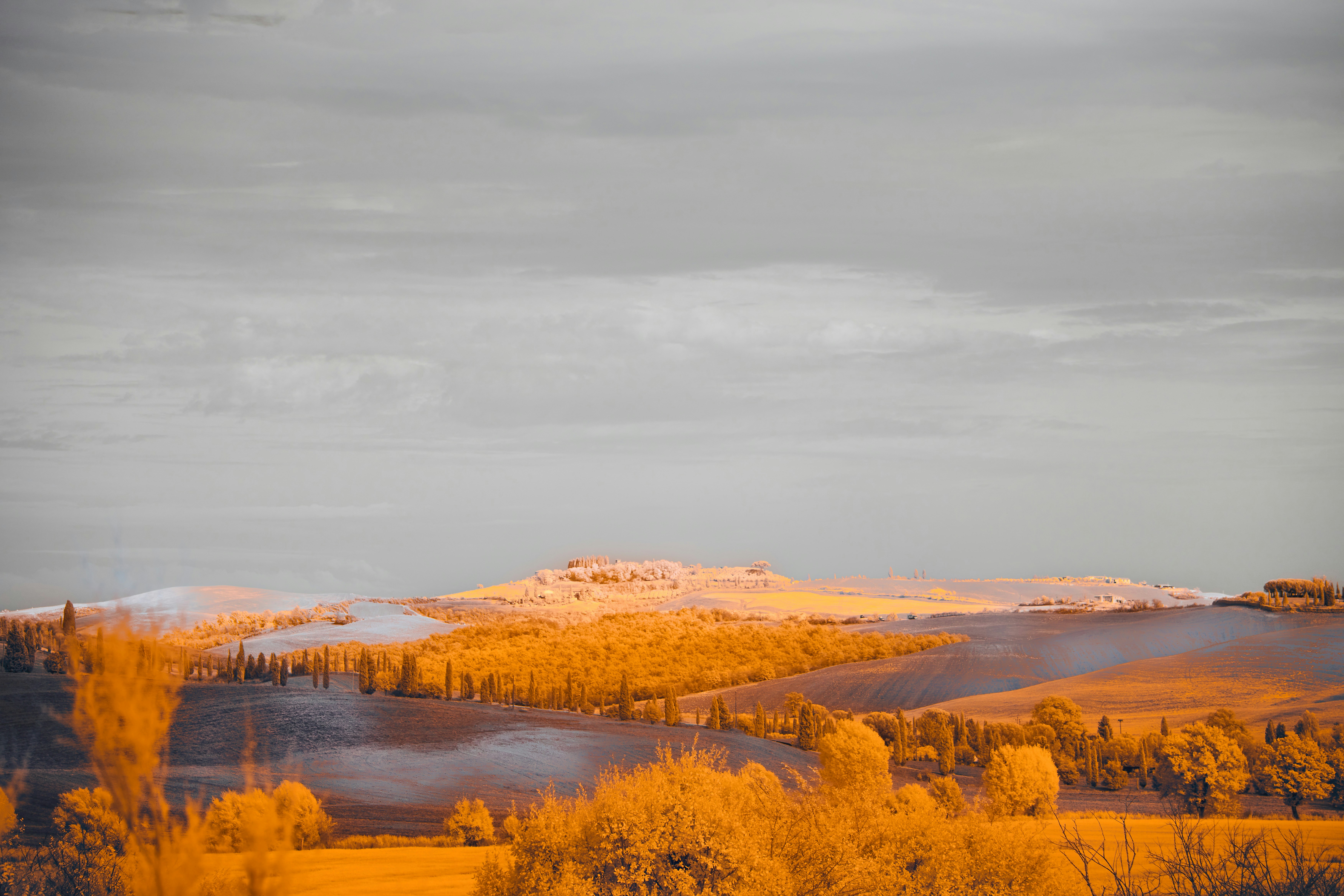 Photo by wolfgang_hasselmann