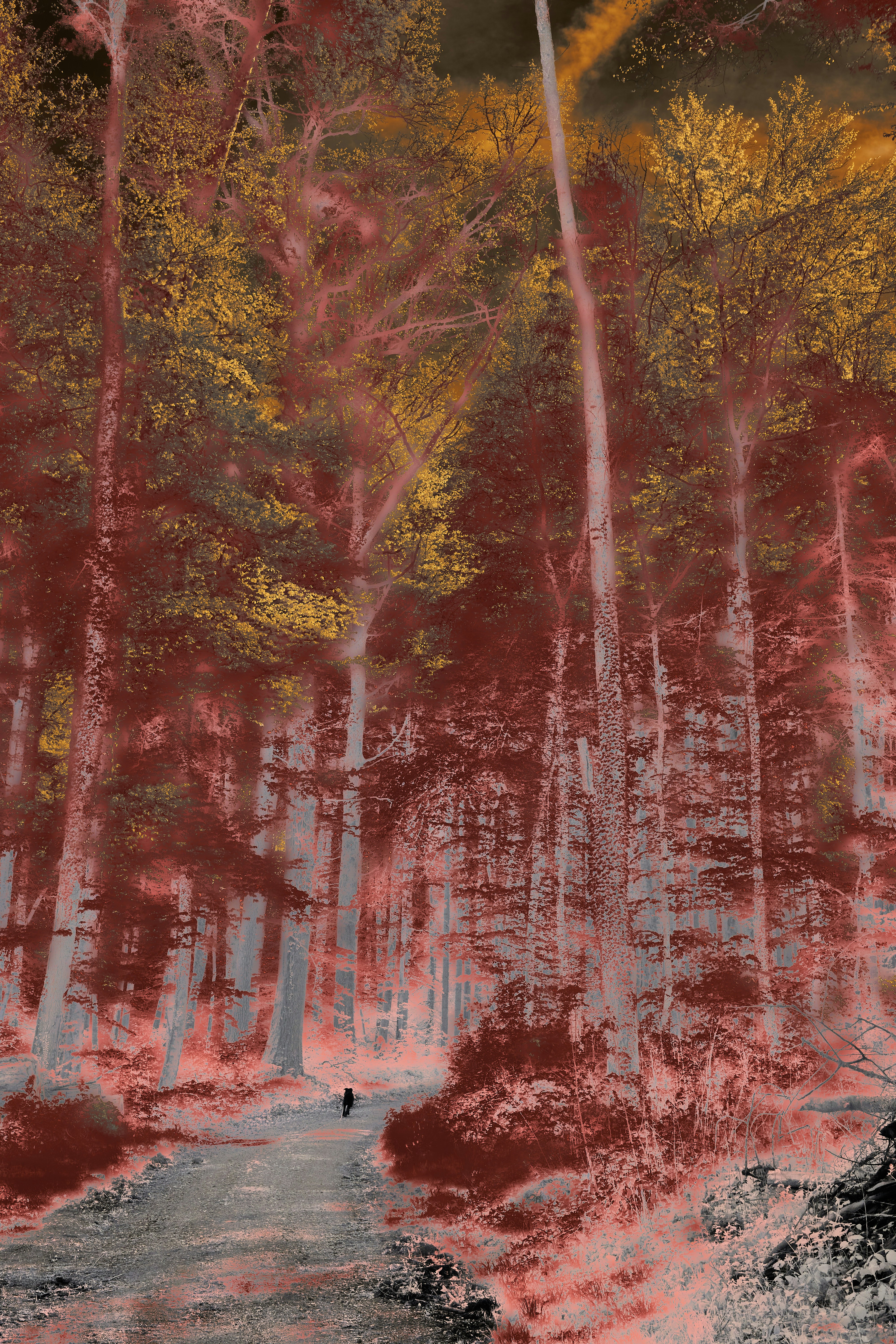 Photo by wolfgang_hasselmann