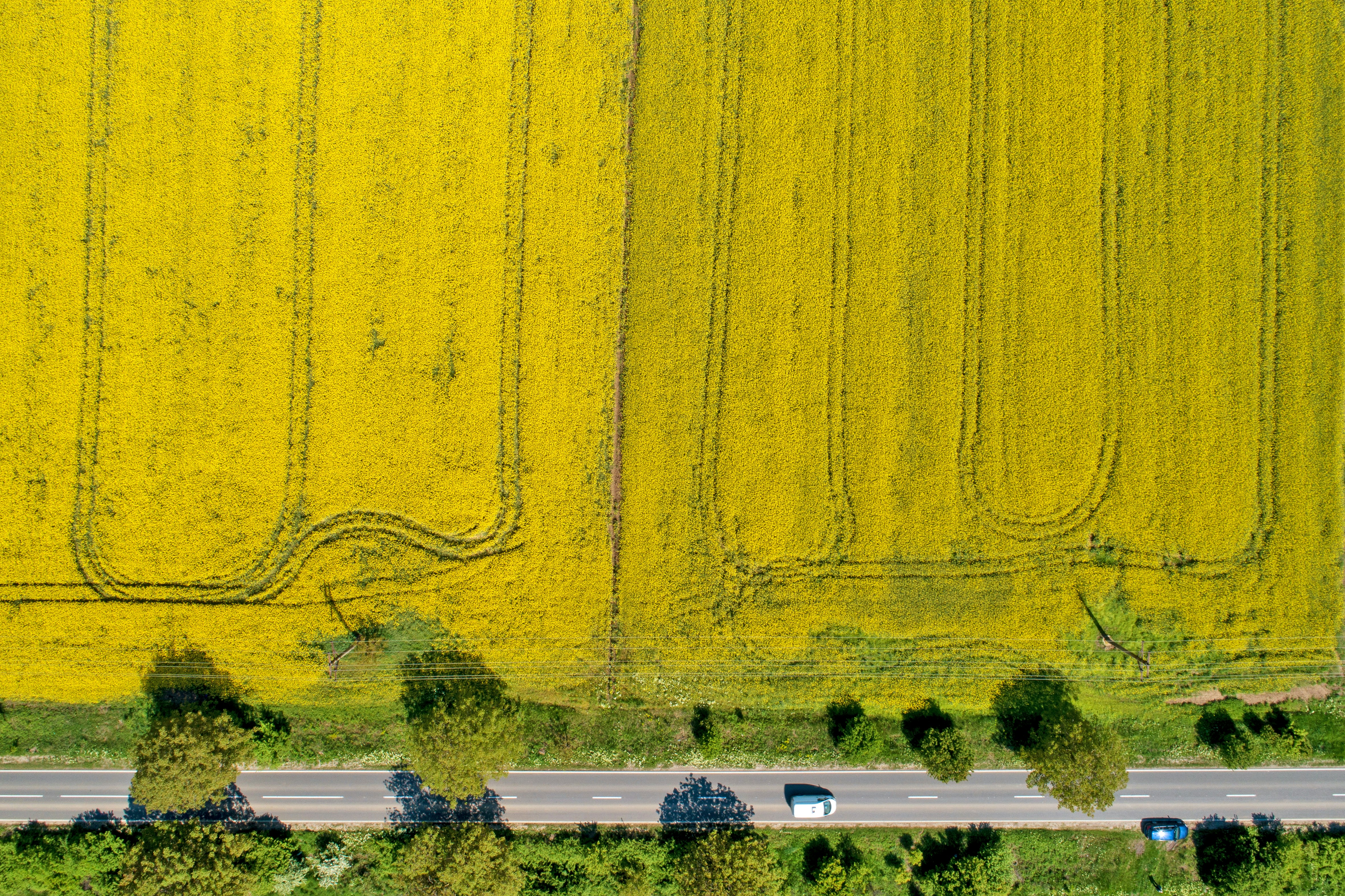 Photo by video_production_sulyok