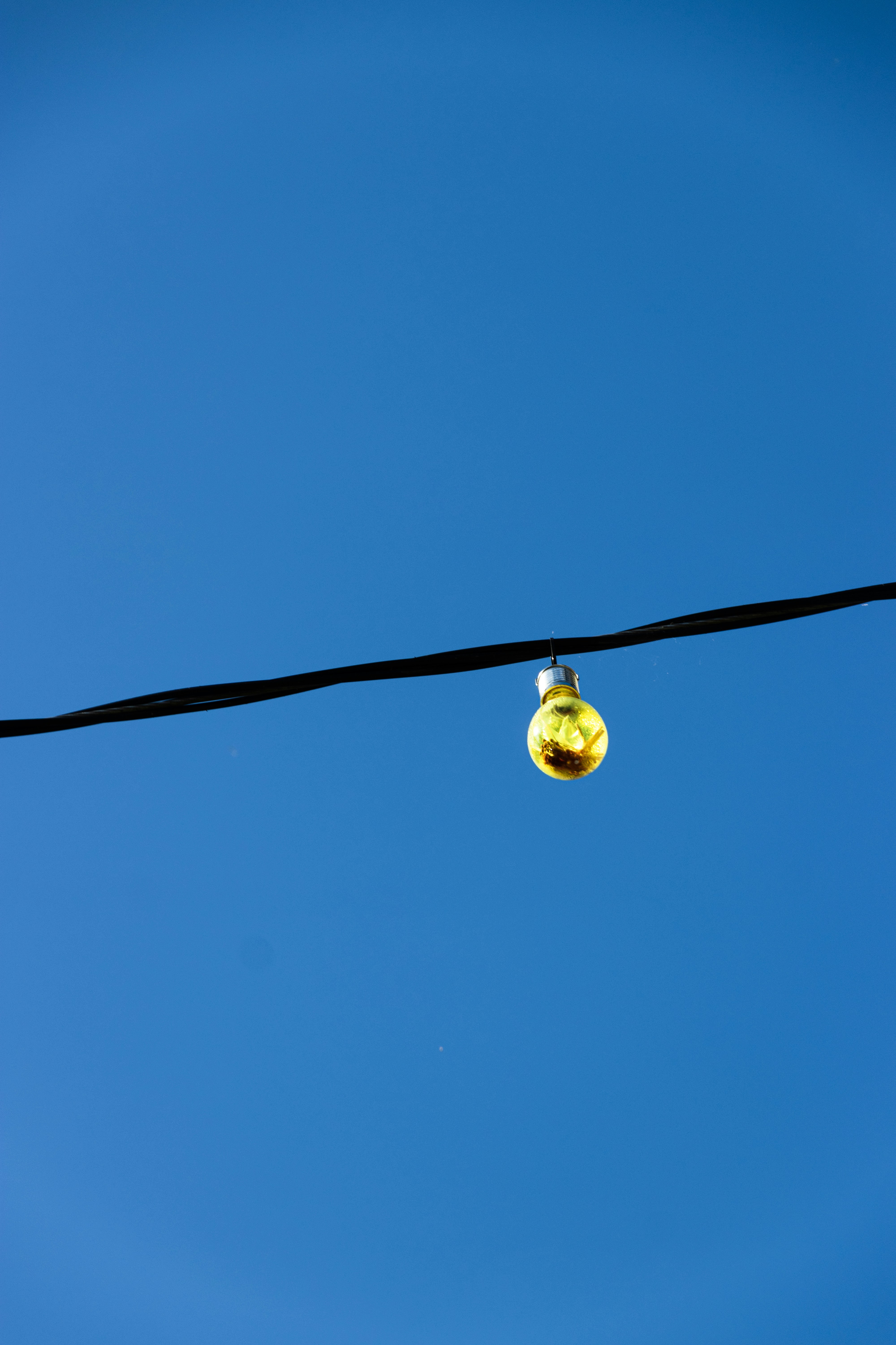 Photo by reinisbruzitis