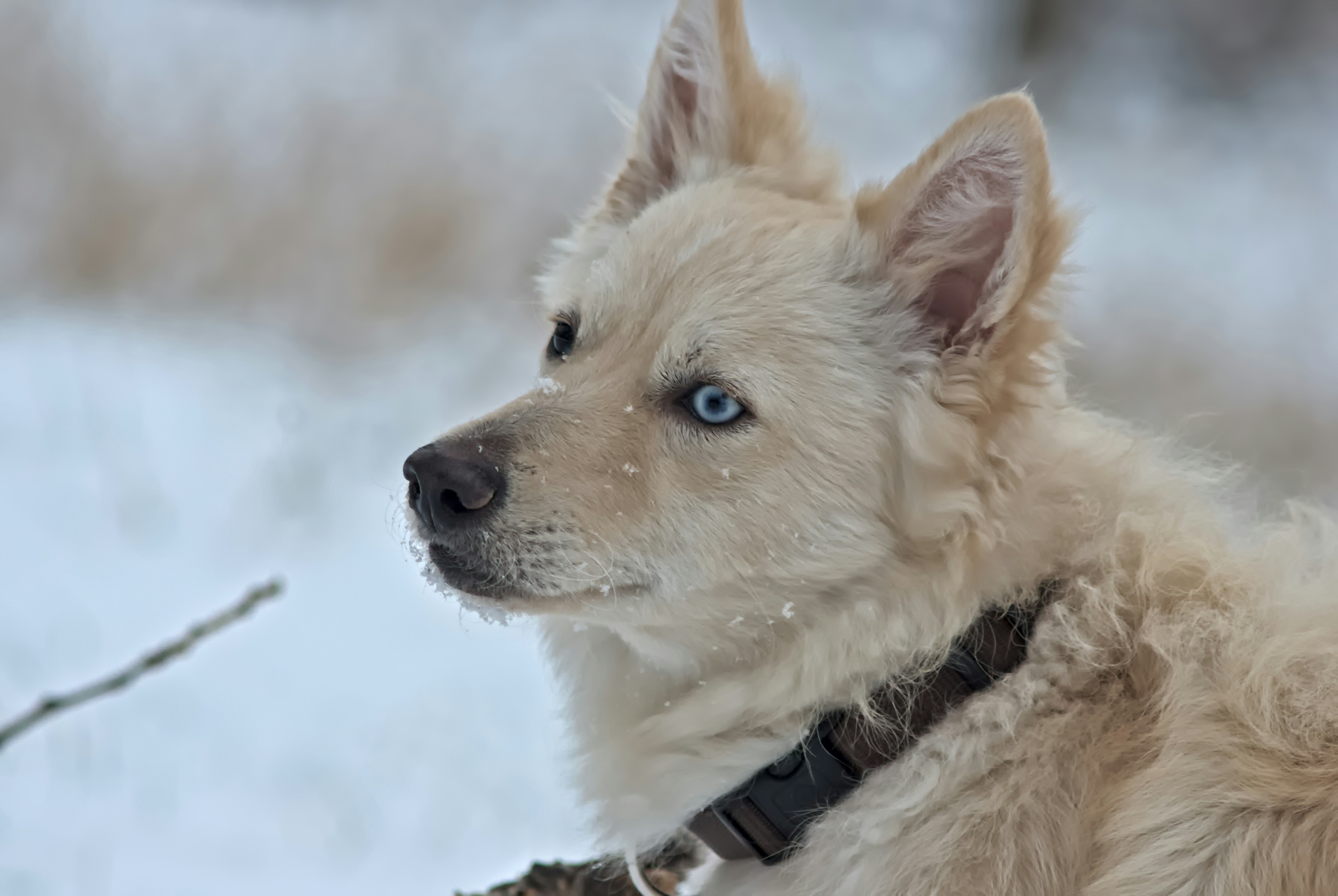 Photo by gaborfromhungary