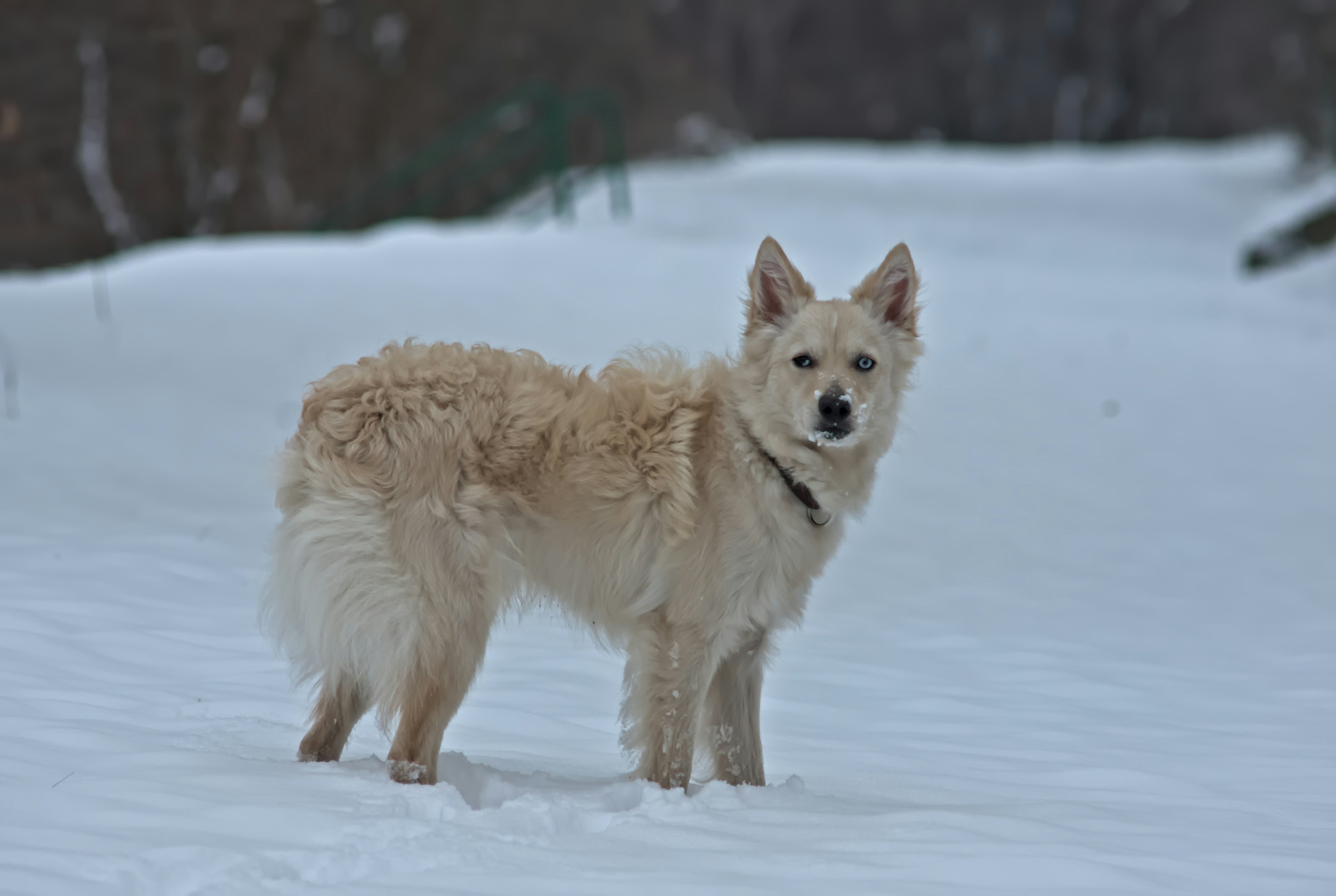 Photo by gaborfromhungary