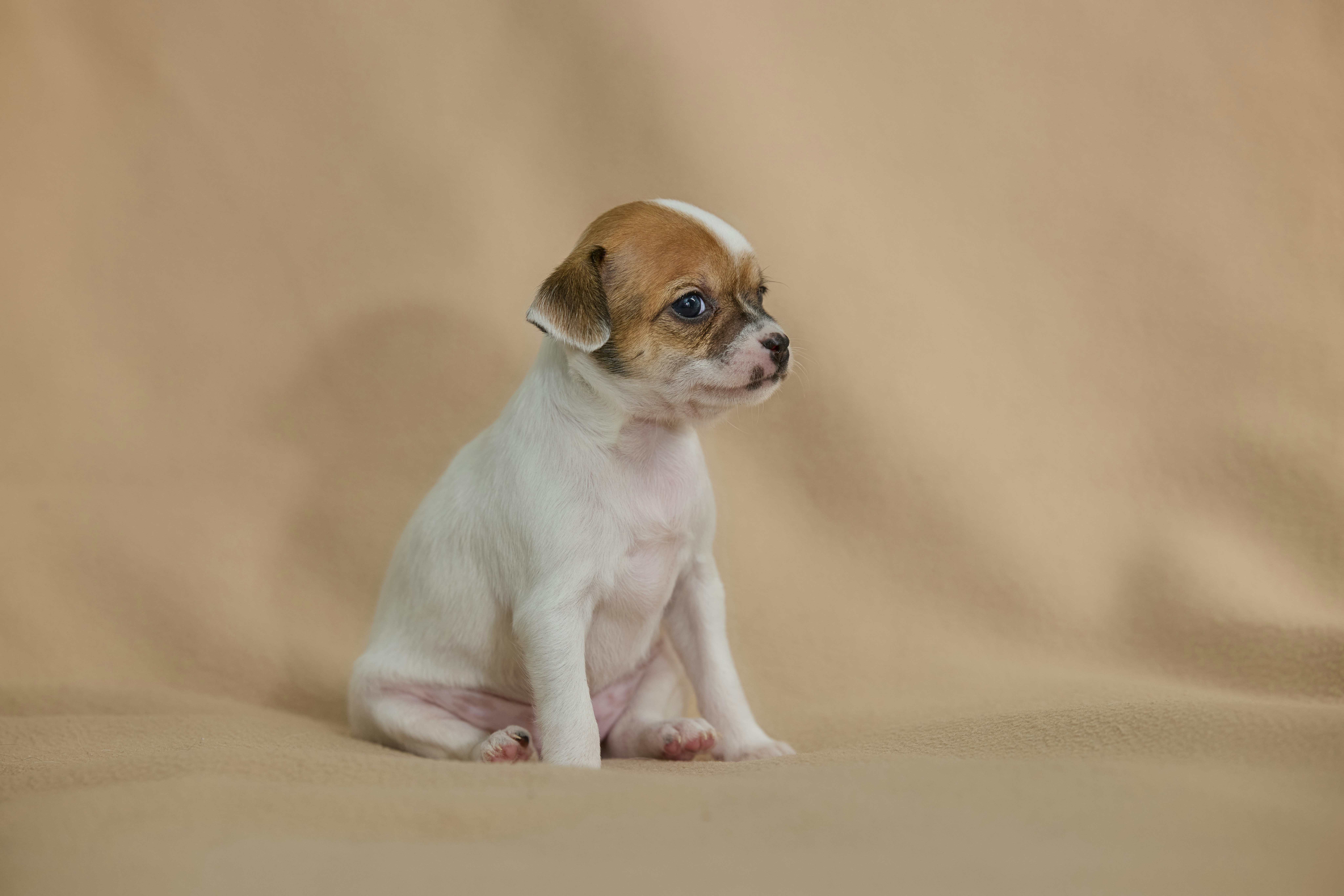 Photo by erwinbosman