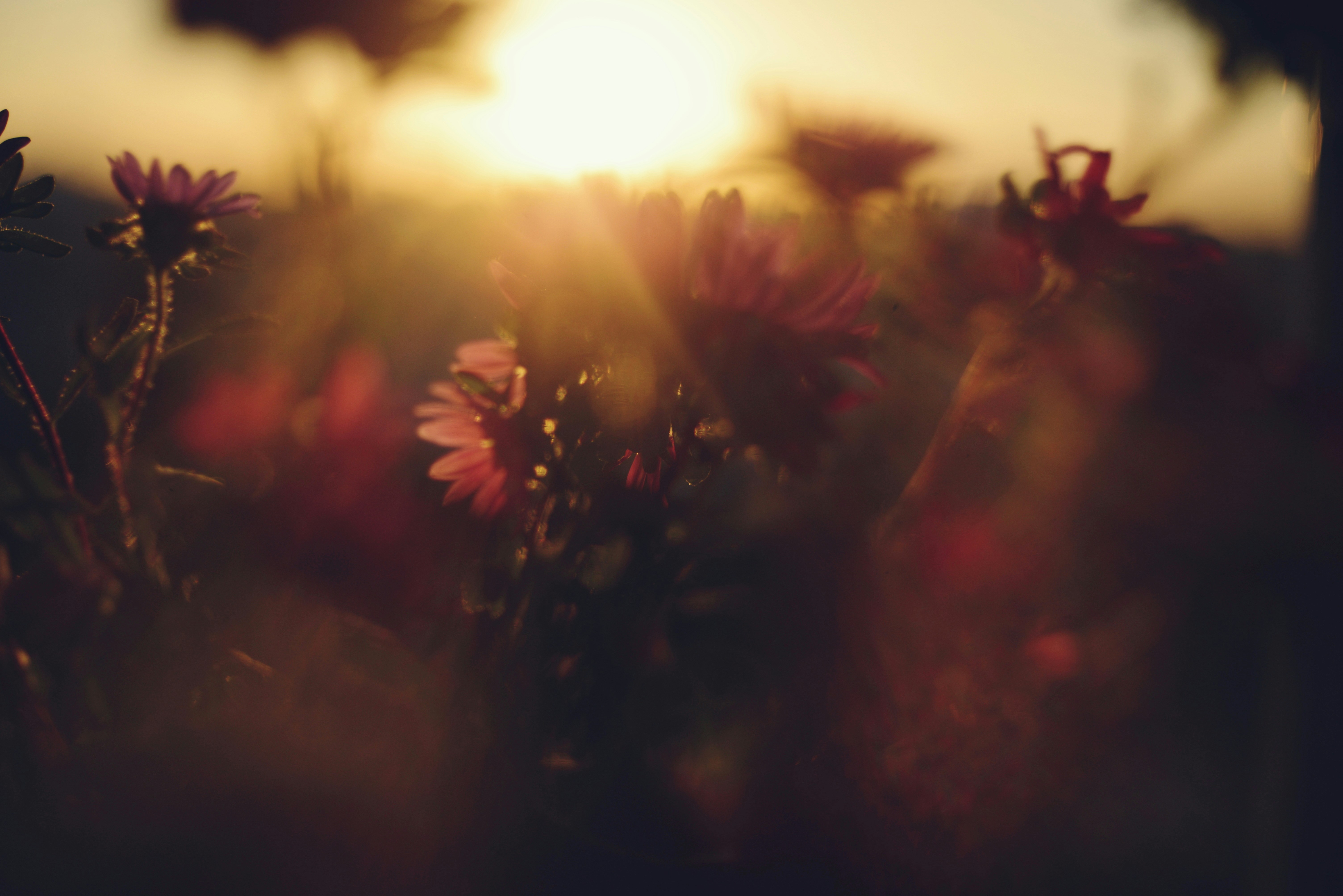 Photo by cherstve_pechivo