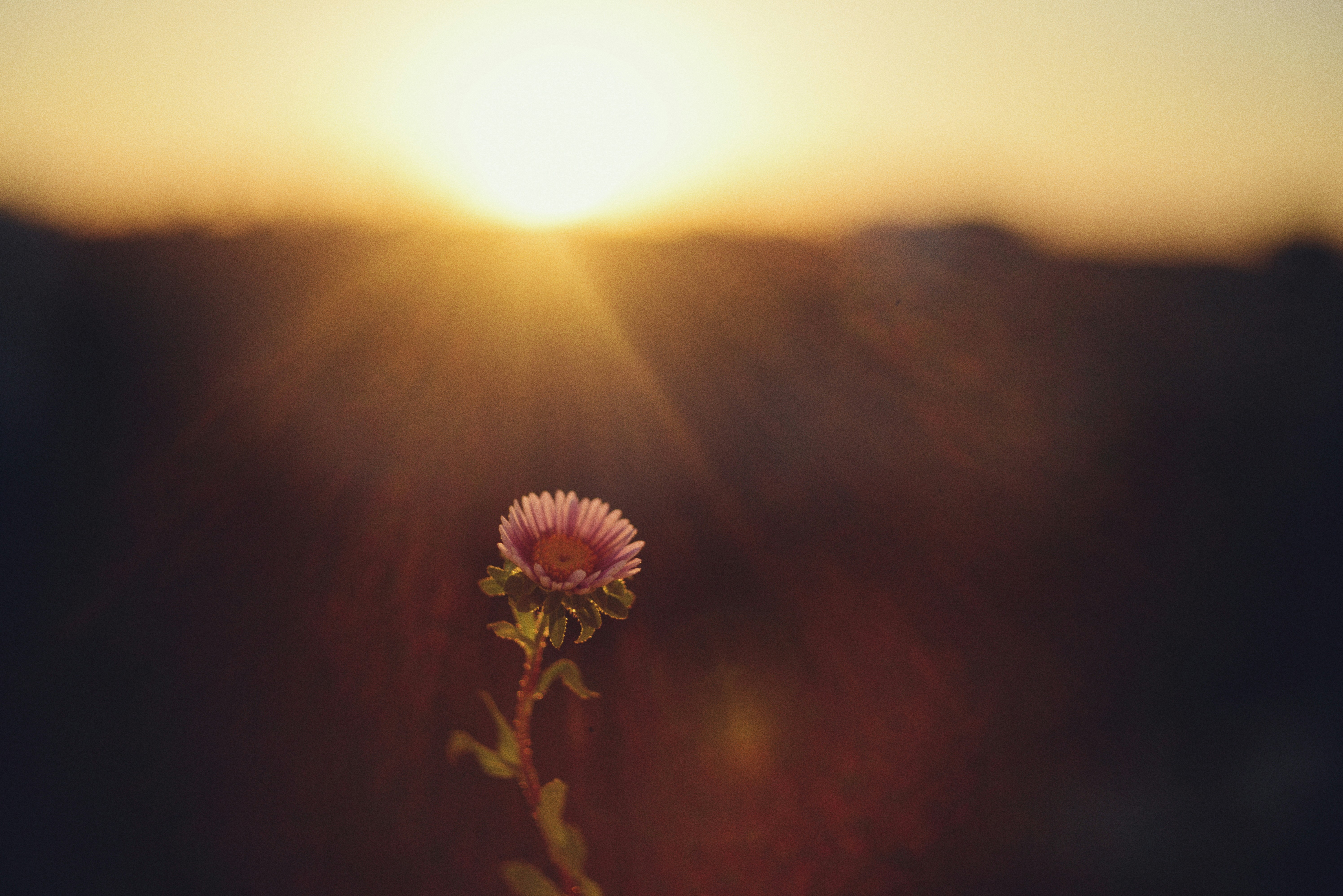 Photo by cherstve_pechivo