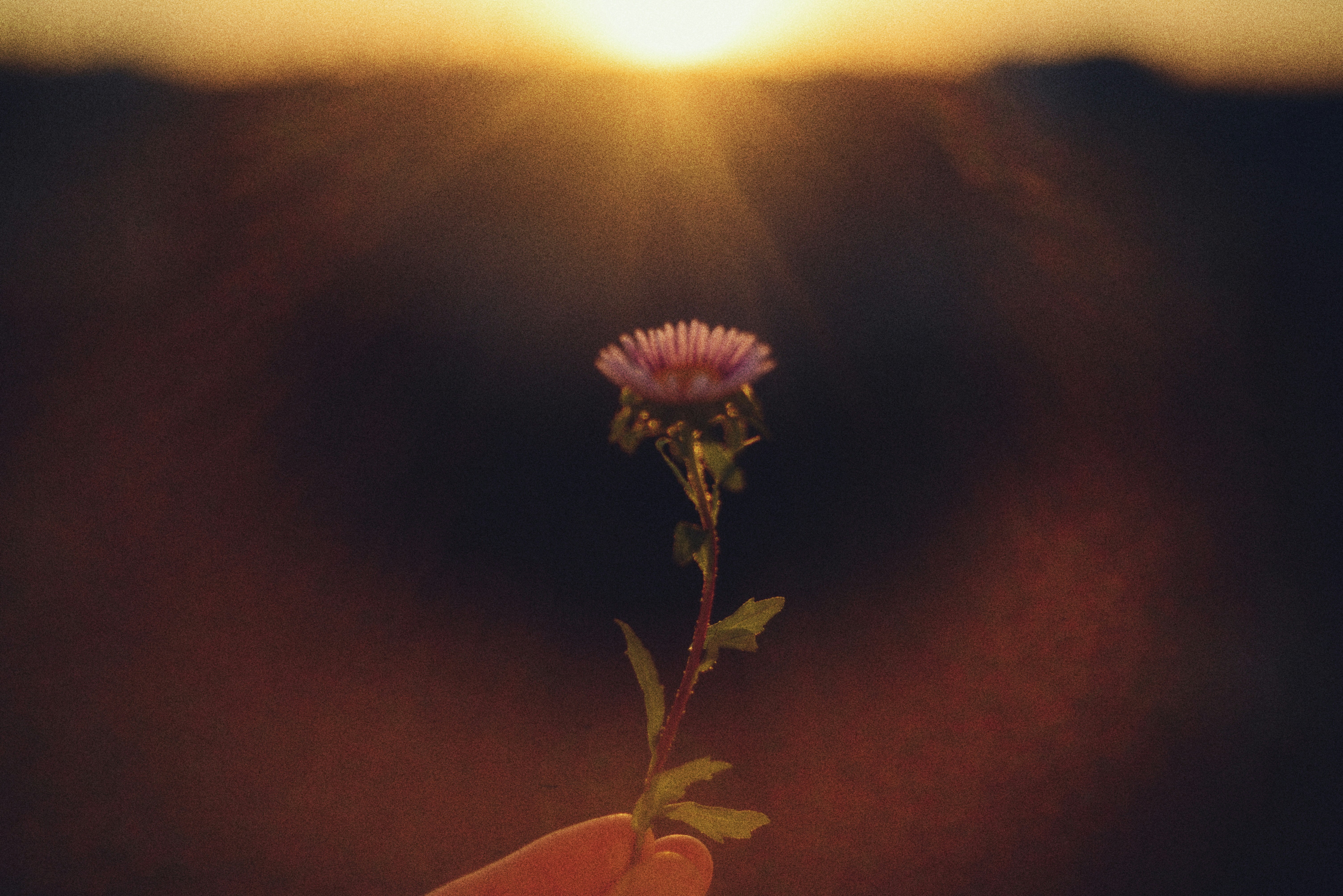 Photo by cherstve_pechivo