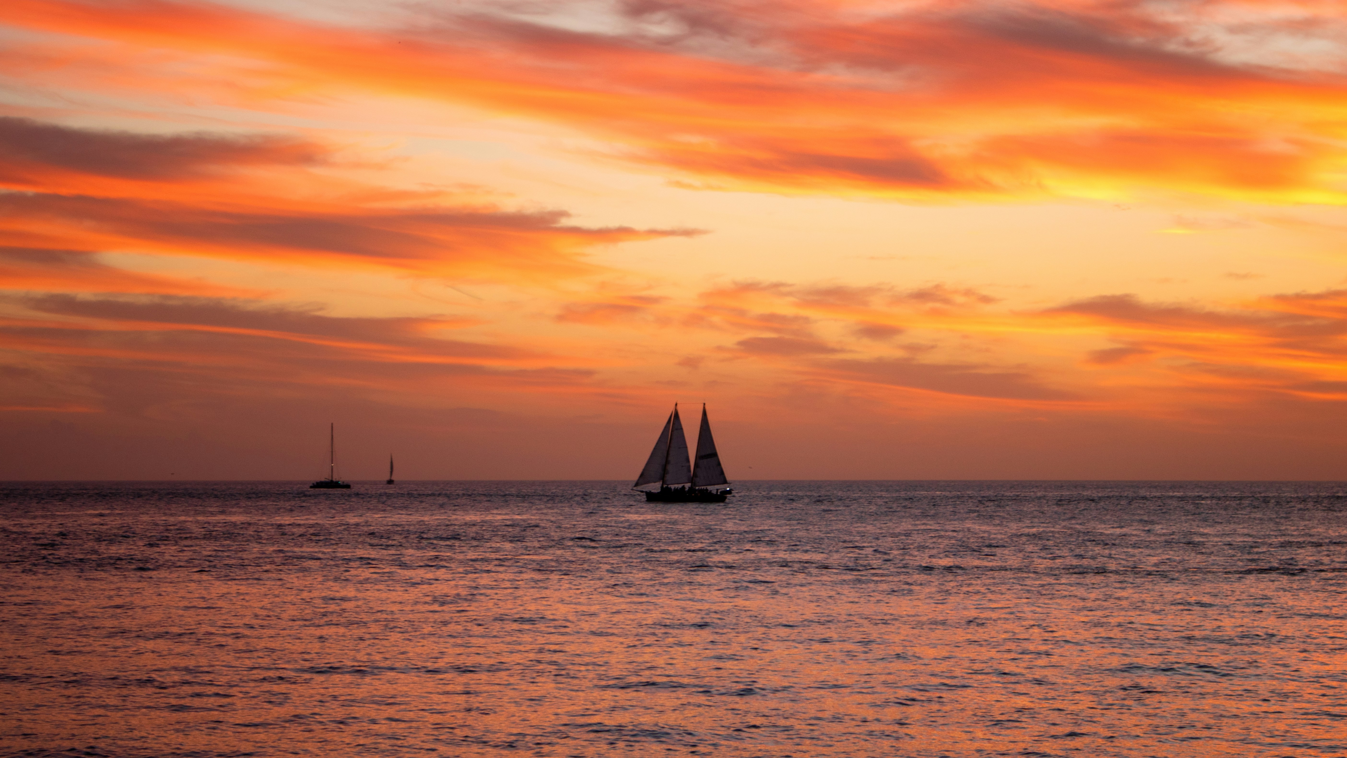 Photo by zoshuacolah