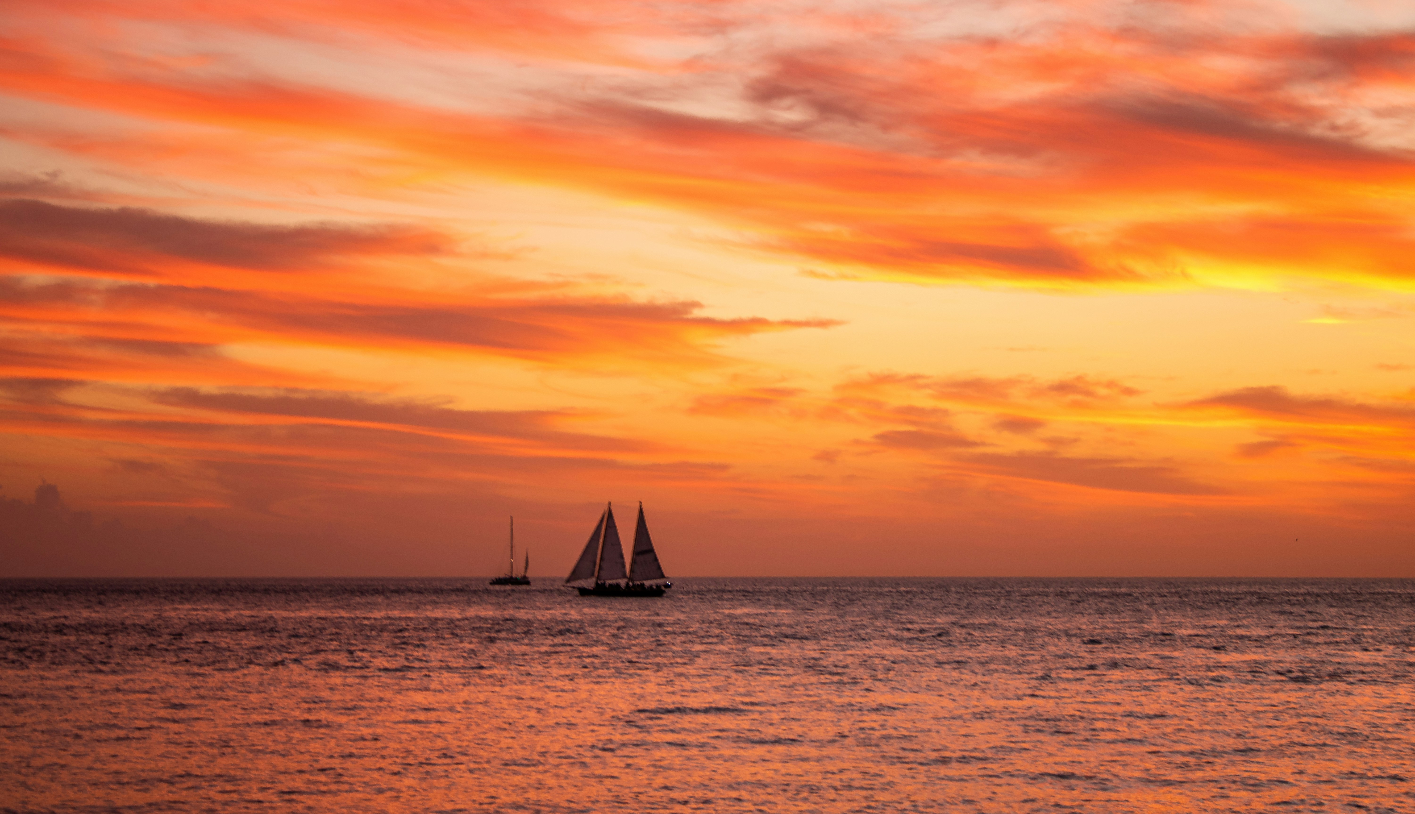 Photo by zoshuacolah