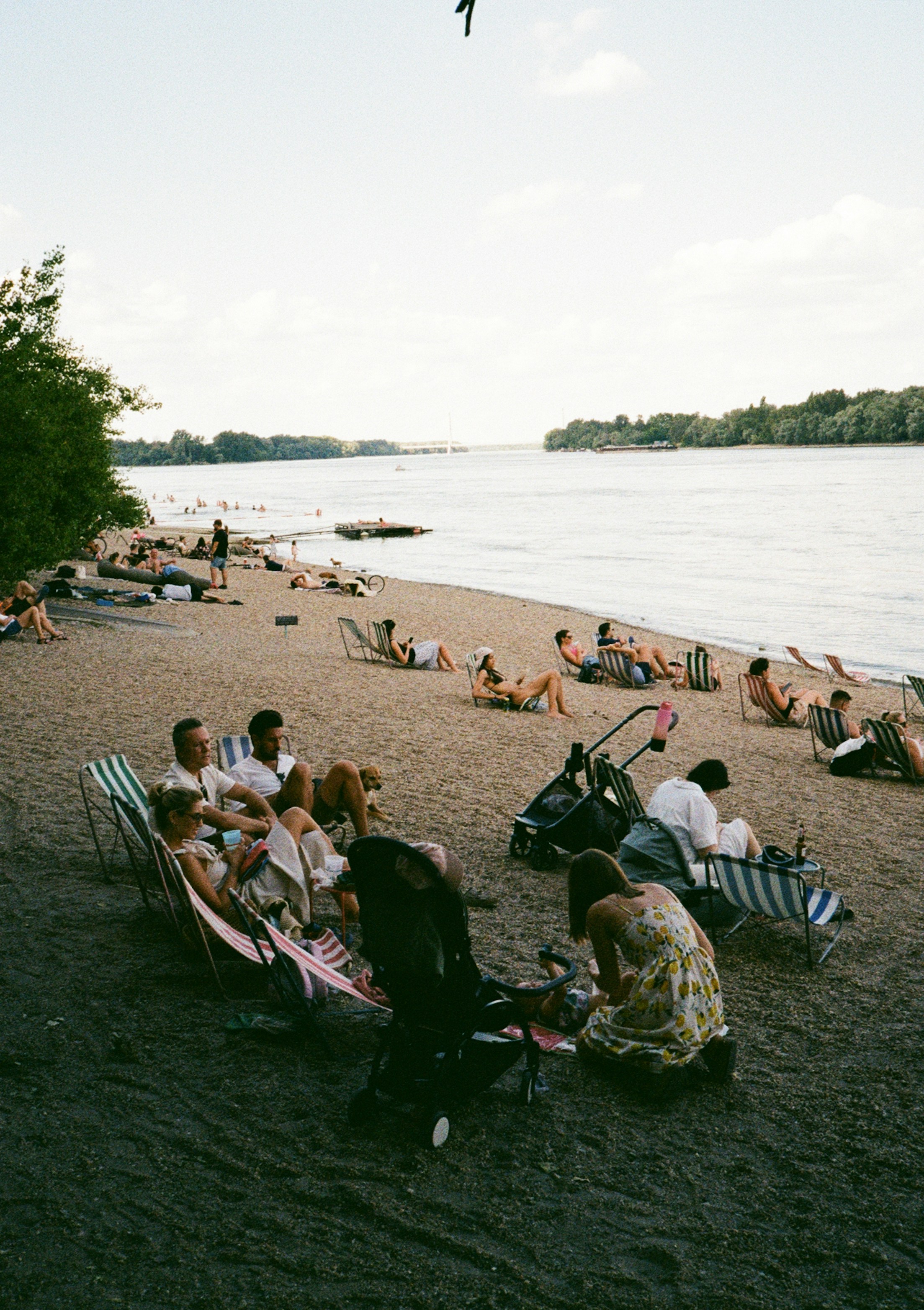 Photo by stachmann