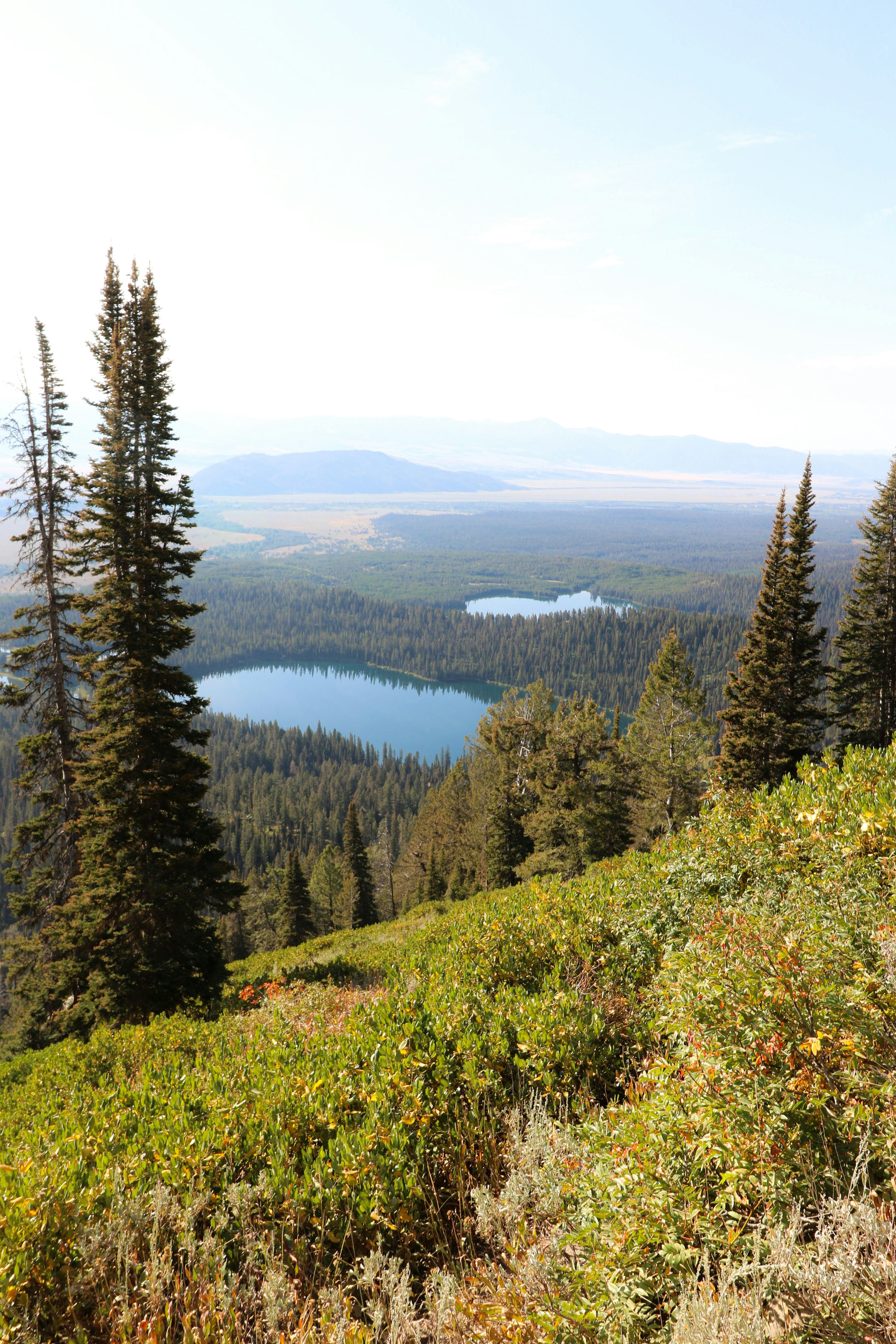 Photo by isaacquick1