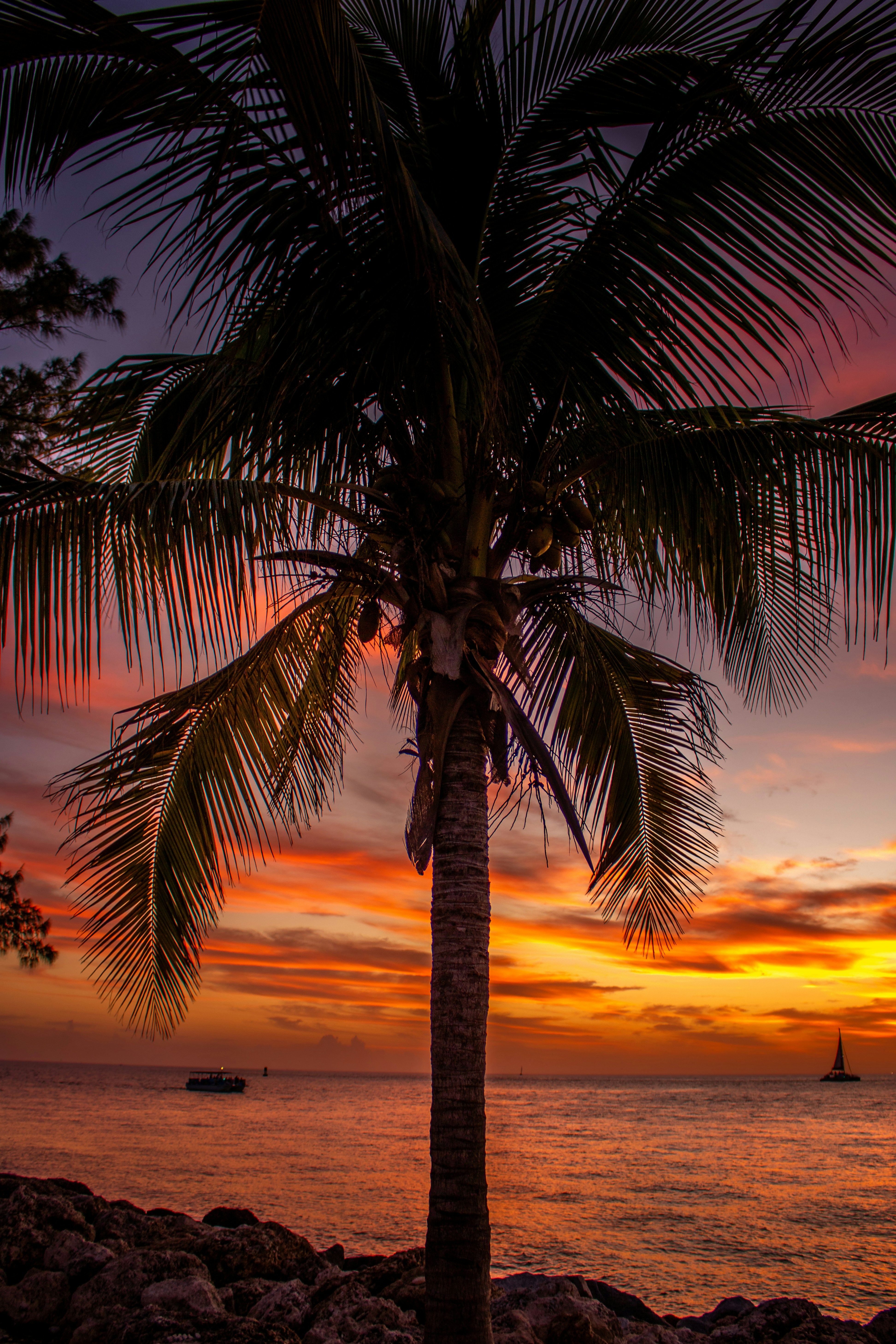 Photo by zoshuacolah