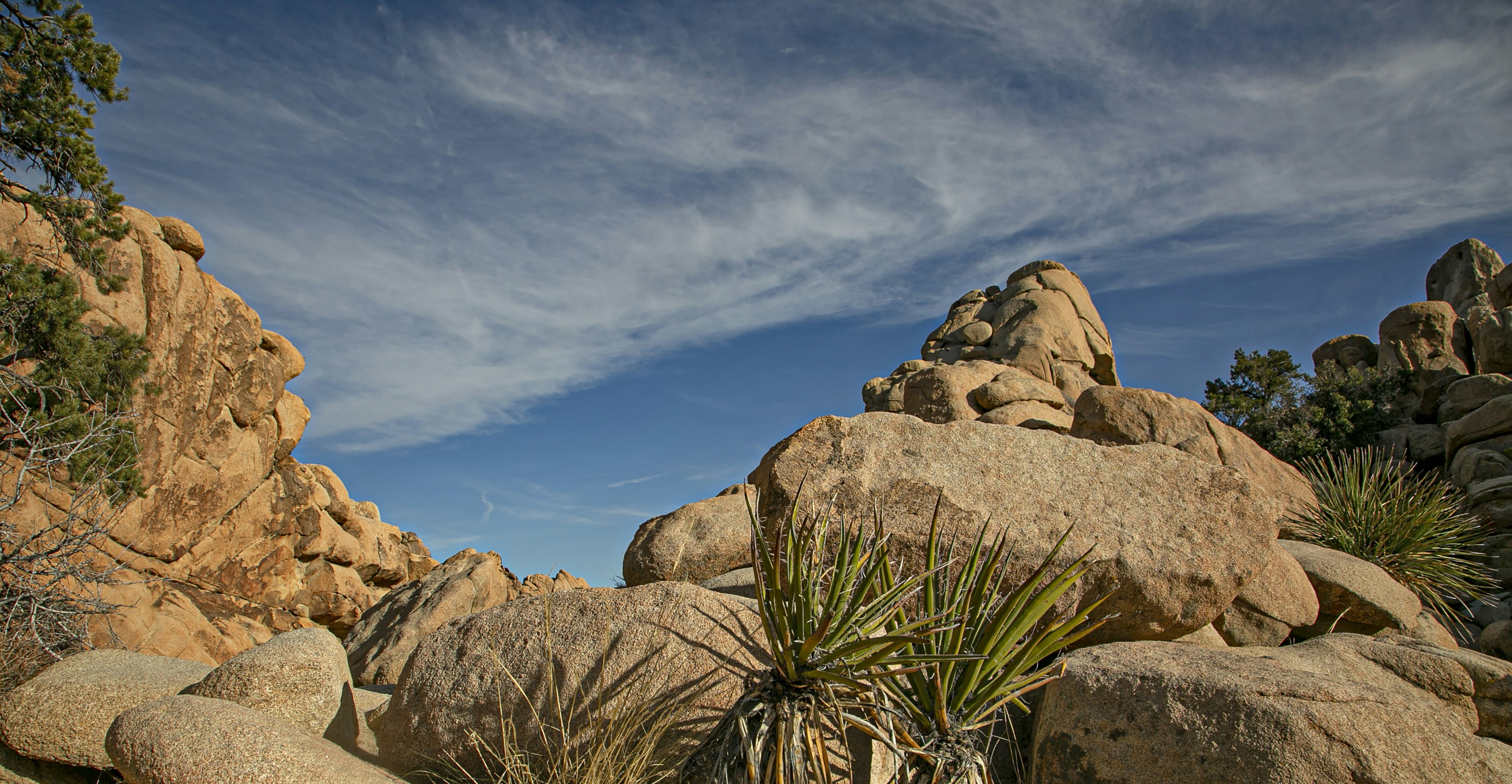 Photo by elviraobutler