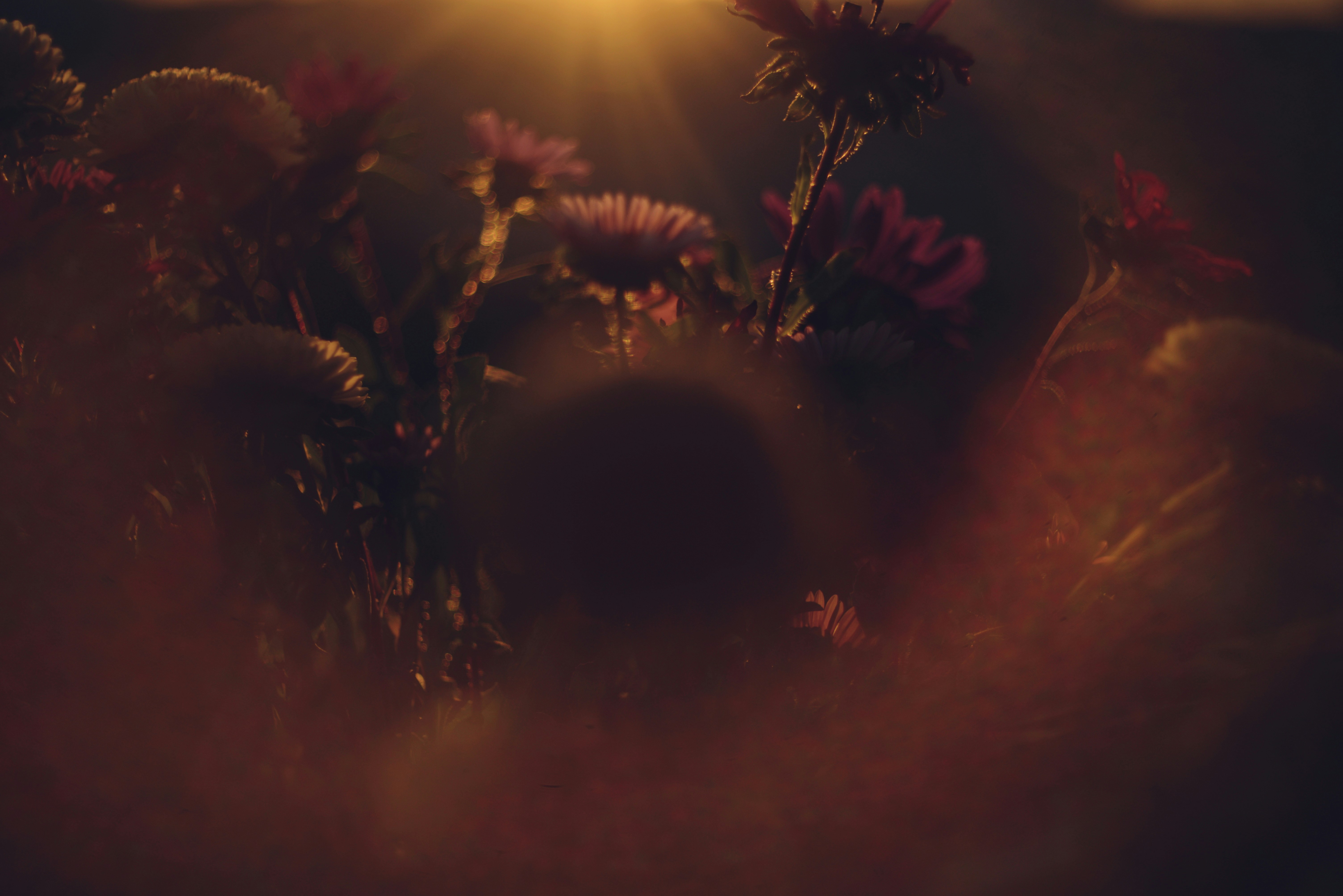 Photo by cherstve_pechivo