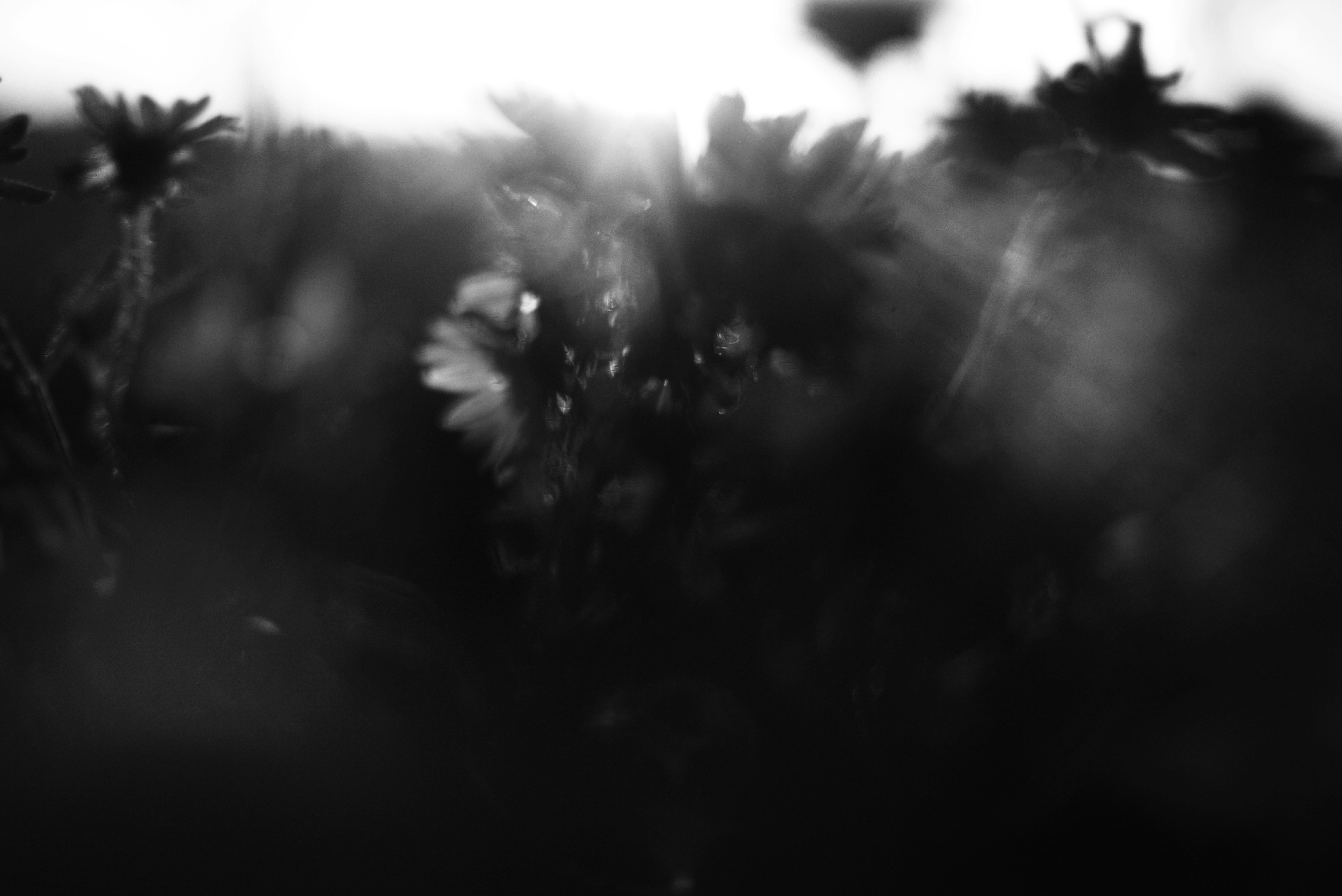 Photo by cherstve_pechivo